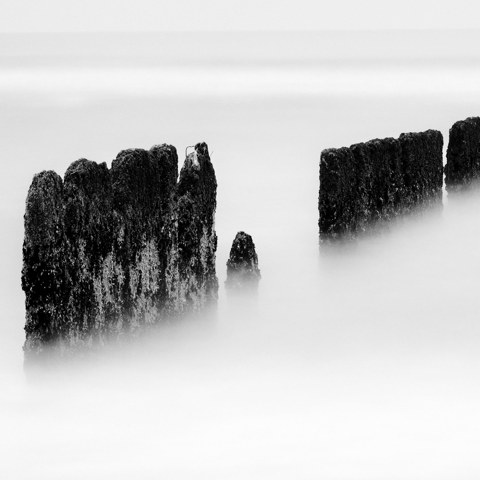 Schwarze schwarze Linie, Groyne, Sylte, Deutschland, Schwarz-Weiß, Kunstfotografie, Landschaft im Angebot 5