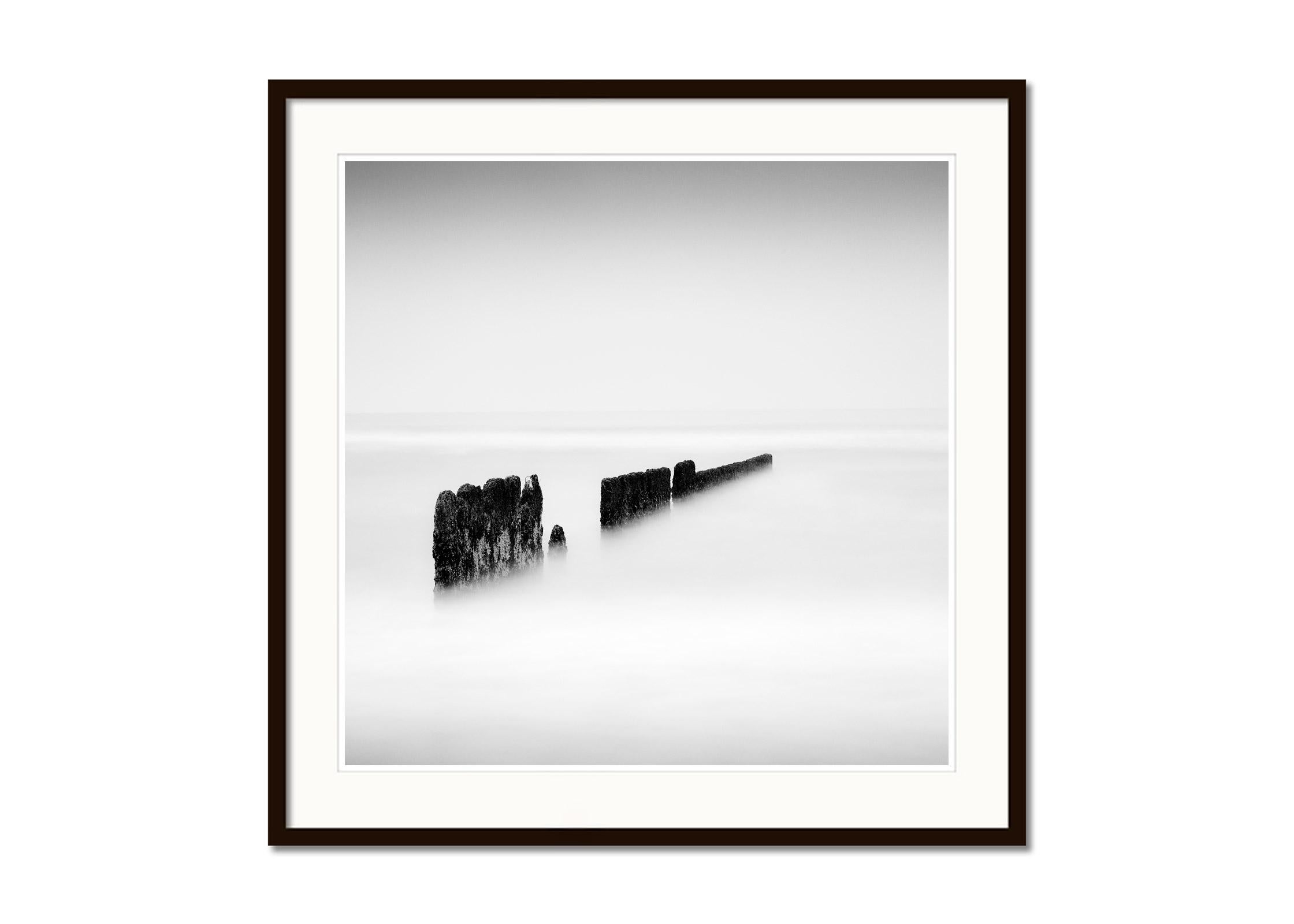 Schwarze schwarze Linie, Groyne, Sylte, Deutschland, Schwarz-Weiß, Kunstfotografie, Landschaft (Grau), Black and White Photograph, von Gerald Berghammer