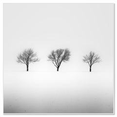 Black & White Winter Landscape Photography — Three Trees in Snowy Field, Limited