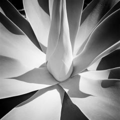 Fotografia in bianco e nero