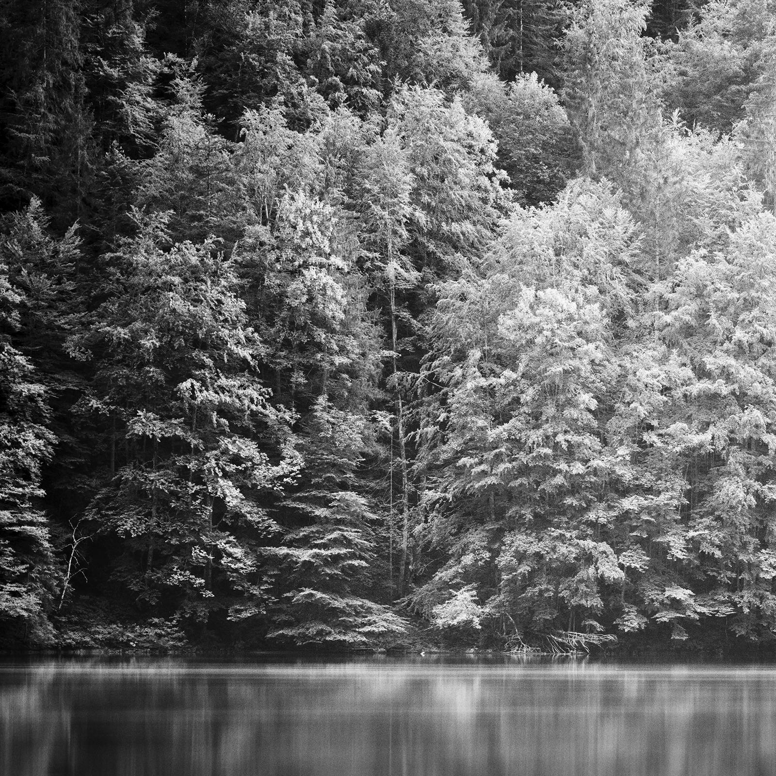 Barchessa del Lago di Montagna, Austria,  fotografia in bianco e nero, paesaggio in vendita 4