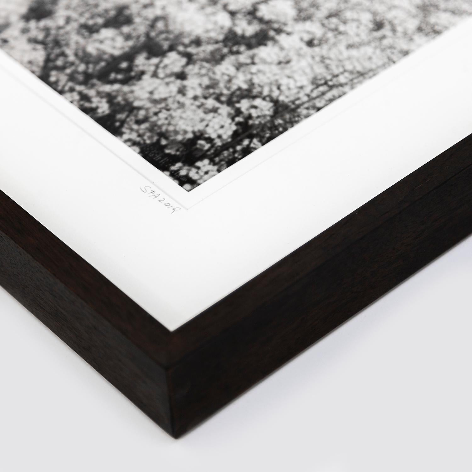Gerald Berghammer - Limited Edition 1/9
Silver Gelatin Prints, Selenium Toned, Printed 2019
Signed, numbered, dated by Artis.
Handmade wood frame, dark-brown, natural white archival Passepartout, anti-reflection white glass, UV-protection 70, metal