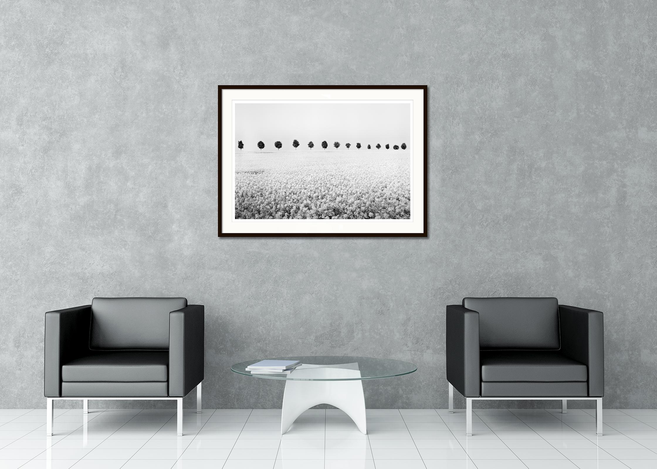 Schwarz-Weiß-Kunstdruck der minimalistischen Landschaftsfotografie. Rapsfeld mit einer Reihe von Bäumen, Frankreich. Pigmenttintendruck, Auflage 7, signiert, betitelt, datiert und nummeriert vom Künstler. Mit Echtheitszertifikat. Bedruckt mit einem
