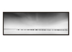 Breakwater Sticks, Panorama, minimalism, black and white, landscape photograph