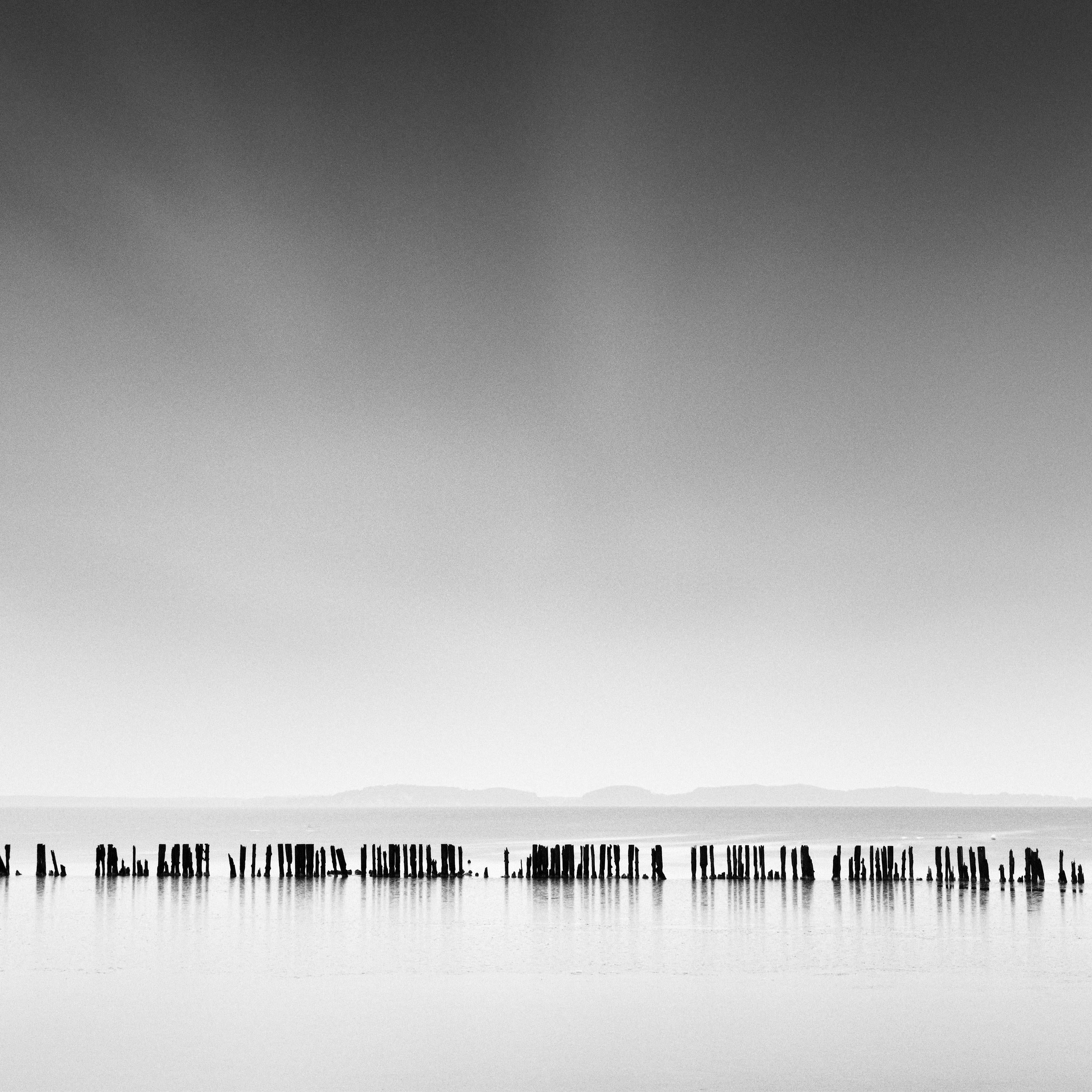 Breakwater Sticks Panorama wave breakers Germany b&w panorama waterscape photo For Sale 3