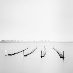 Bouées et mouettes, minimaliste, noir et blanc, paysage aquatique, photographie d'art