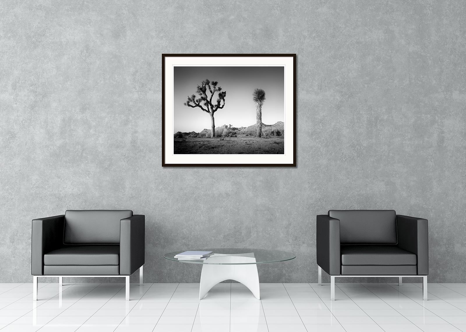 Impresión fotográfica de paisajes finos en blanco y negro. Impresión en tinta de pigmento de archivo, edición de 9. Firmada, titulada, fechada y numerada por el artista. Certificado de autenticidad incluido. Impreso con un borde blanco de 4