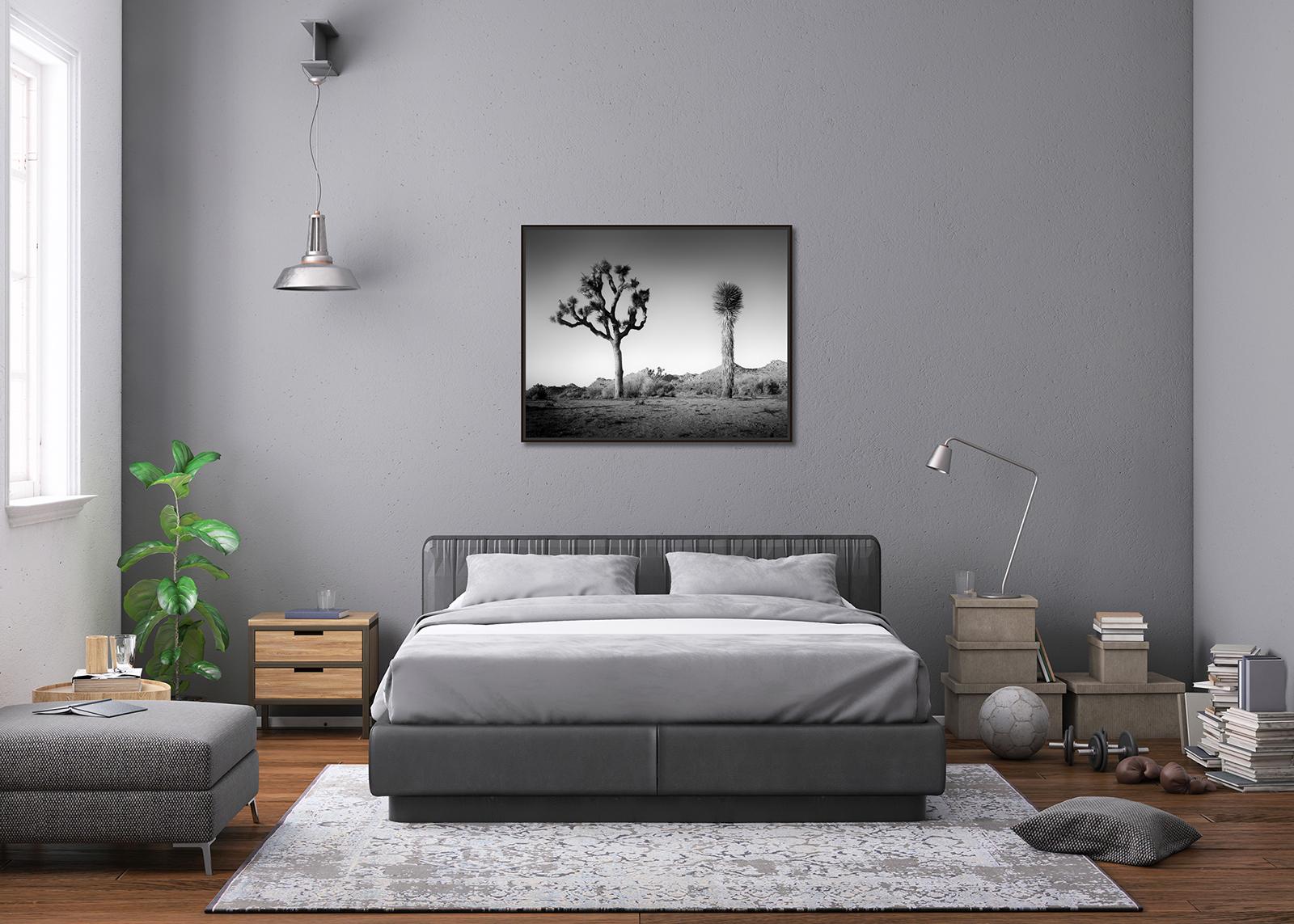 Desierto de California Joshua, Árbol, EE.UU. fotografía en blanco y negro, paisaje en venta 1