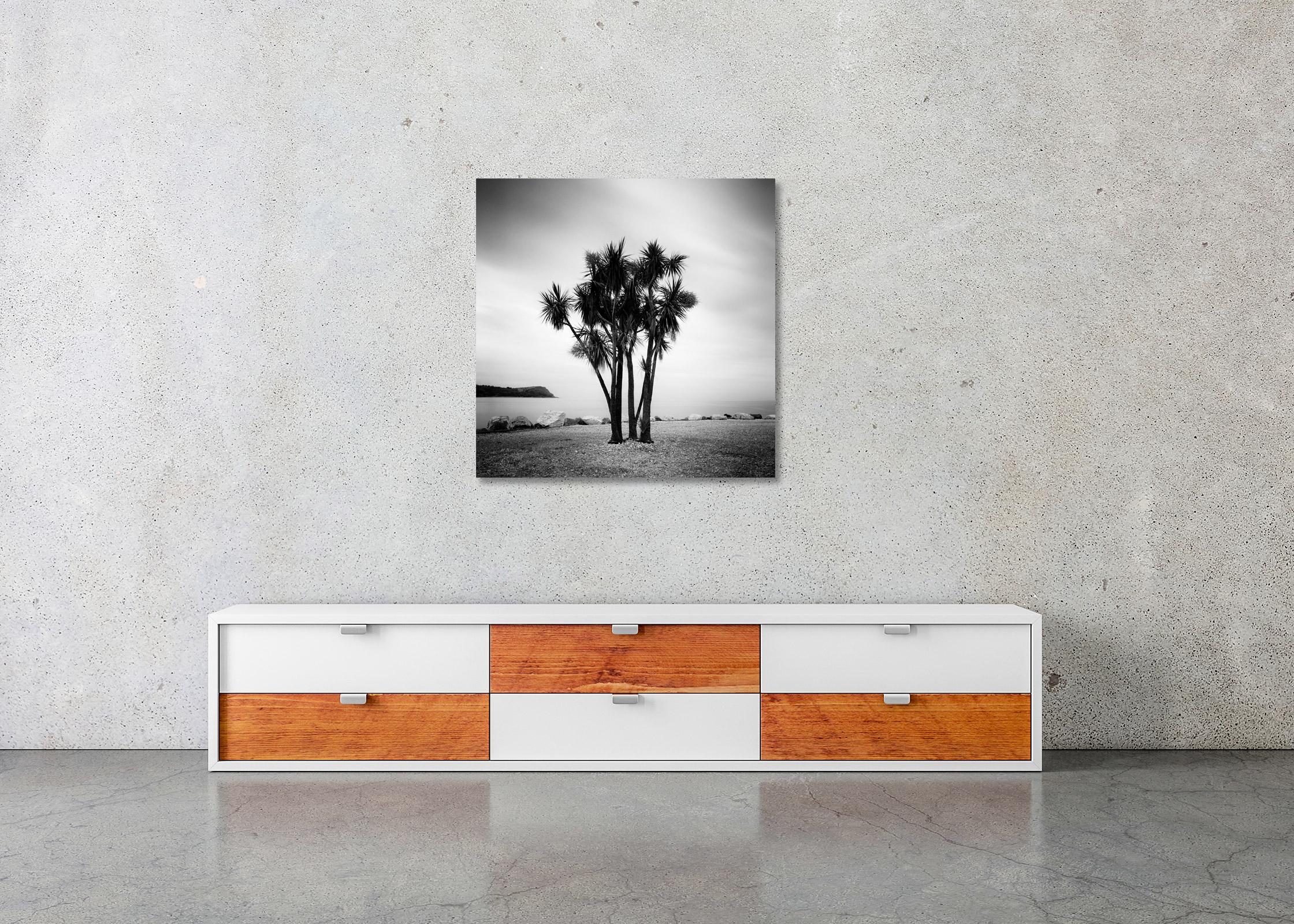 Caribbean Feeling, Palm Trees, Ireland, black and white landscape photography - Gray Black and White Photograph by Gerald Berghammer