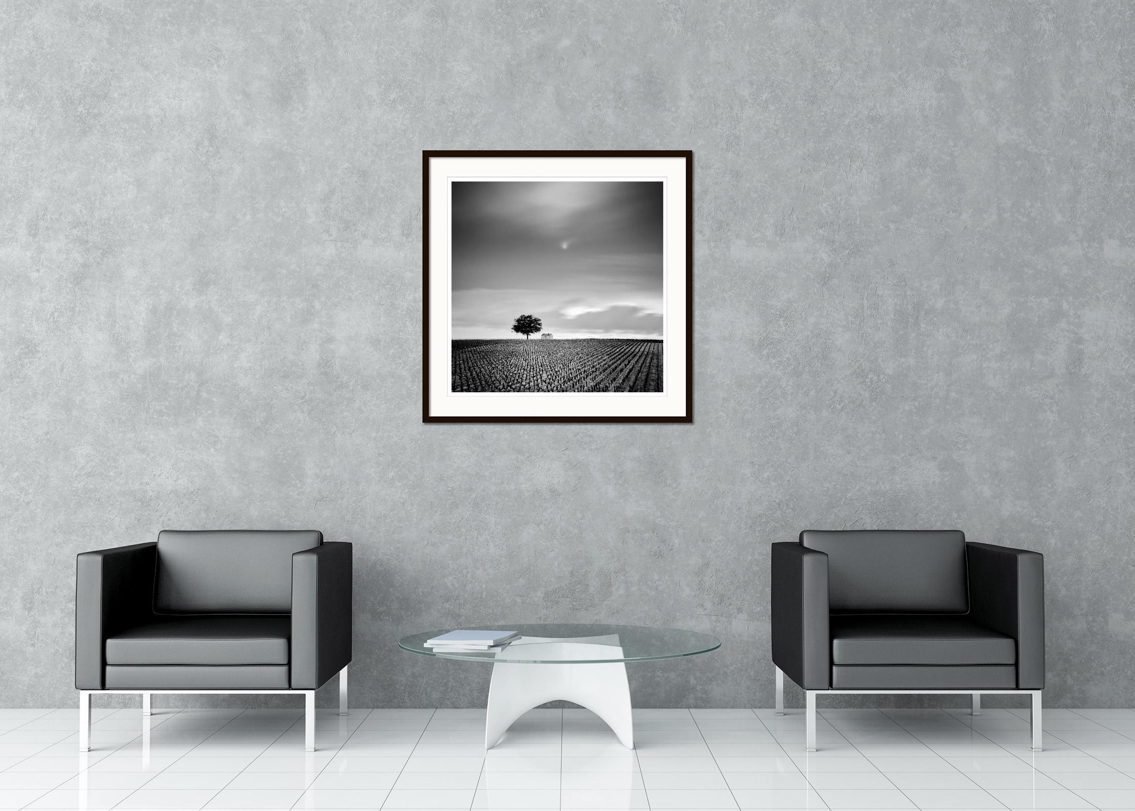 Black and white fine art landscape photography. Single tree with small hut at the beautiful vineyard in the Champagne in France. Archival pigment ink print, edition of 15. Signed, titled, dated and numbered by artist. Certificate of authenticity