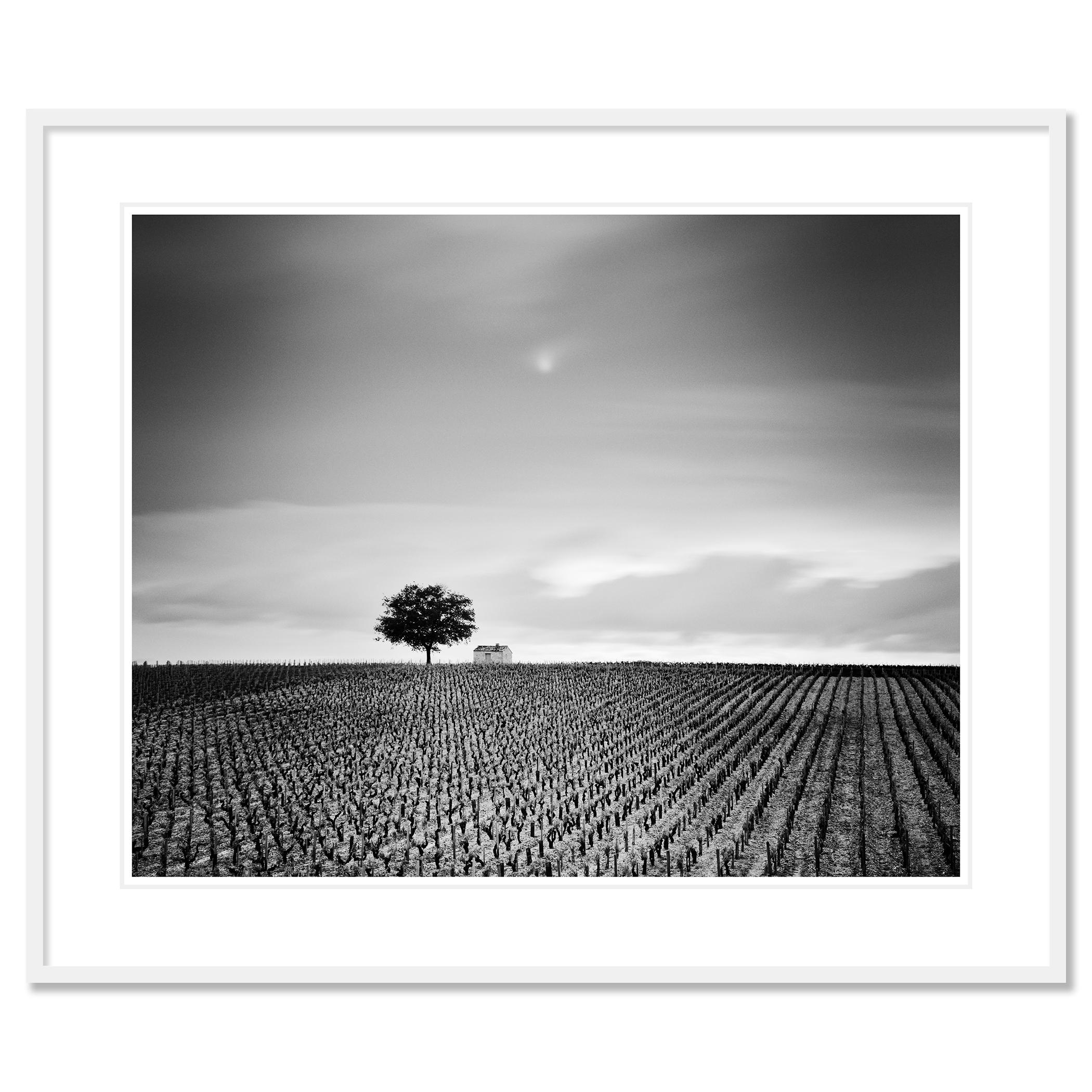 Fotografia di paesaggio in bianco e nero. Stampa con inchiostro a pigmenti d'archivio in edizione limitata di 7 esemplari. Tutte le stampe di Gerald Berghammer sono realizzate su ordinazione in edizione limitata su Hahnemuehle Photo Rag Baryta. Ogni