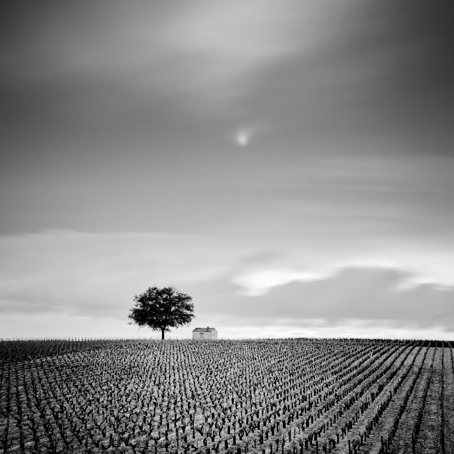 Champagne Paradise, Vineyards, France, photographie noir et blanc, encadré - Photograph de Gerald Berghammer