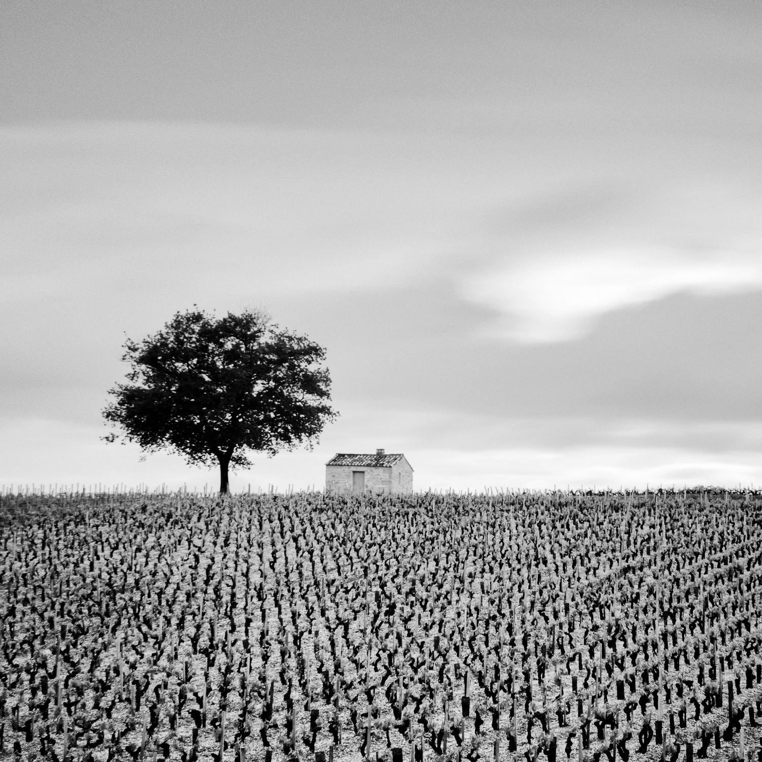 Champagne Paradise, Vineyards, France, photographie noir et blanc, encadré - Contemporain Photograph par Gerald Berghammer