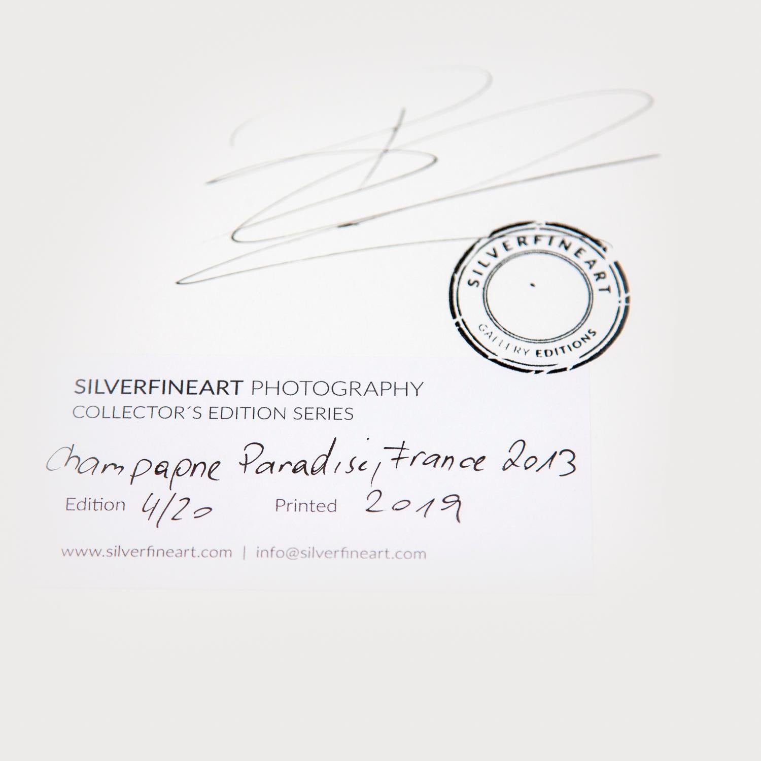 Champagne Paradise, Vineyards, France, photographie noir et blanc, encadré en vente 3