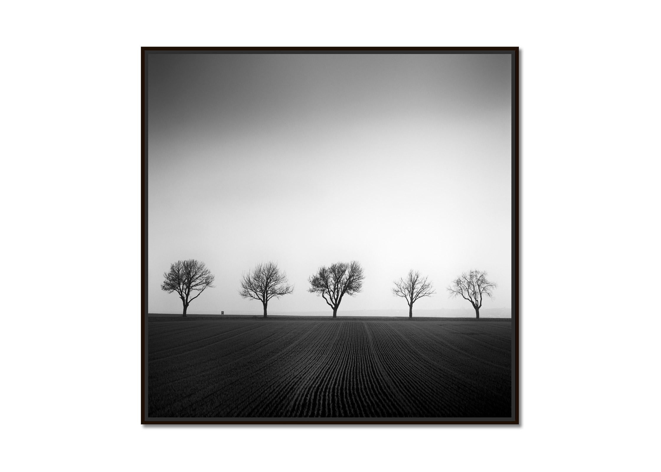 Cherry Tree Avenue, minimalist black and white photography, landscape, fine art - Photograph by Gerald Berghammer