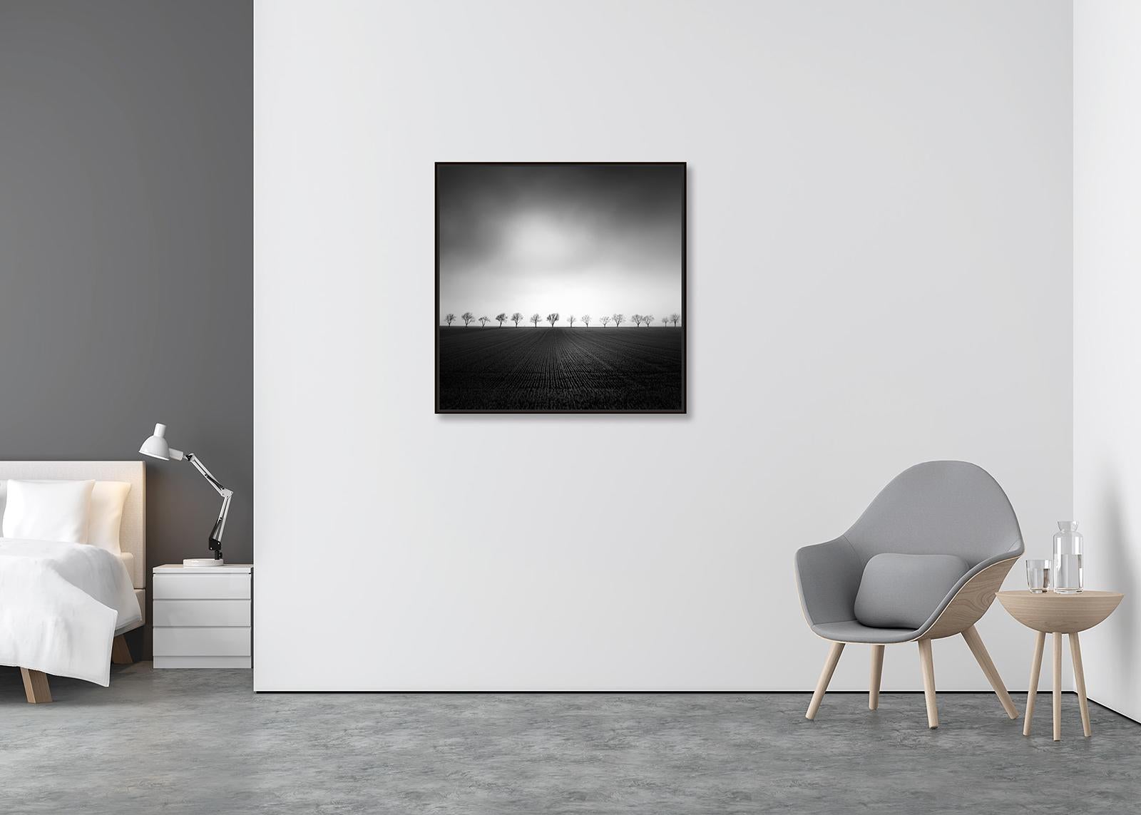 Cherry Tree Avenue, minmalisme, noir et blanc, beaux-arts paysage, photographie - Abstrait Photograph par Gerald Berghammer