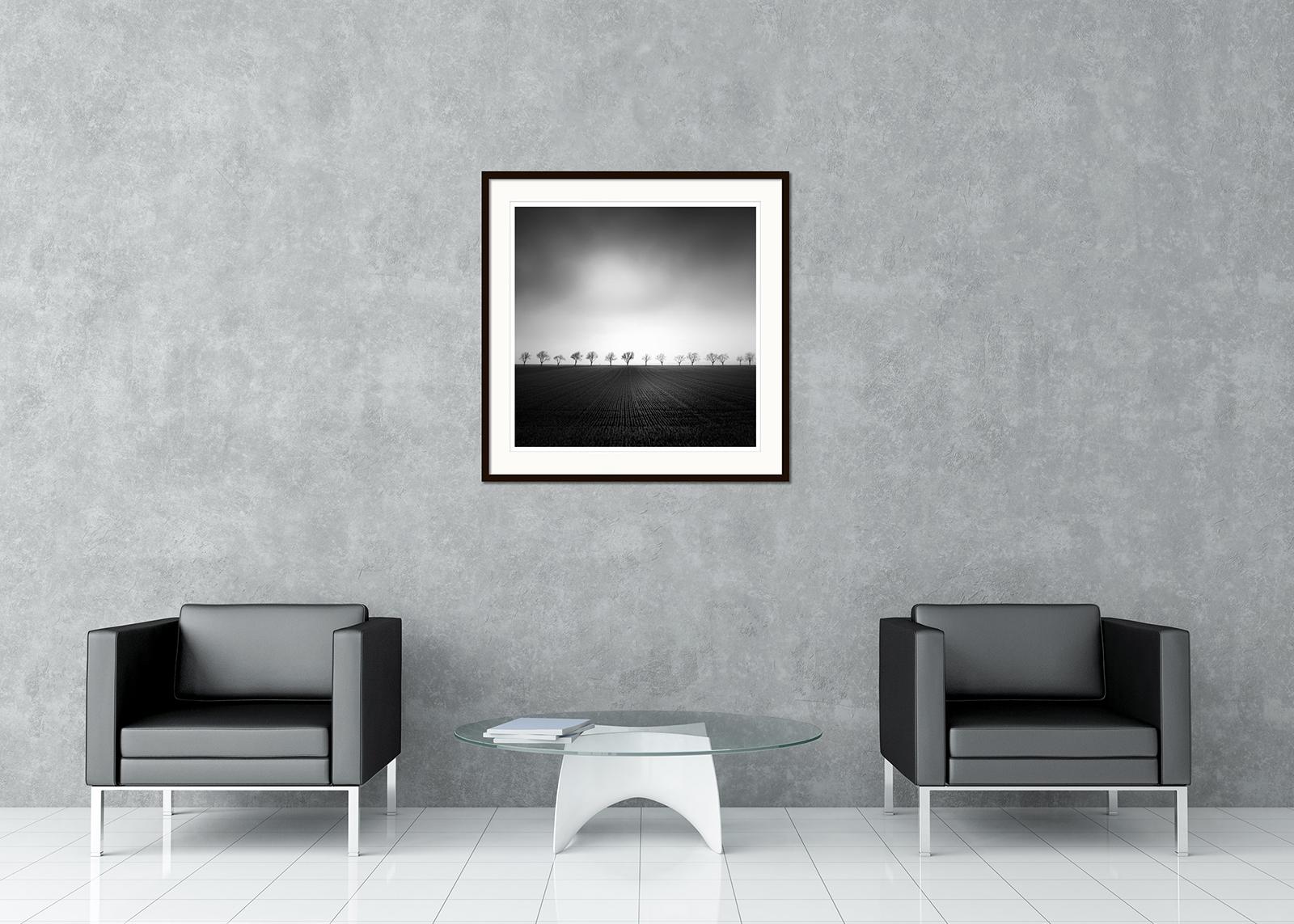 Photographie de paysage en noir et blanc. Épreuve à l'encre pigmentaire d'archives, édition limitée à 9 exemplaires. Allée de cerisiers au bord du champ par temps orageux, Weinviertel, Autriche. Tous les tirages de Gerald Berghammer sont réalisés