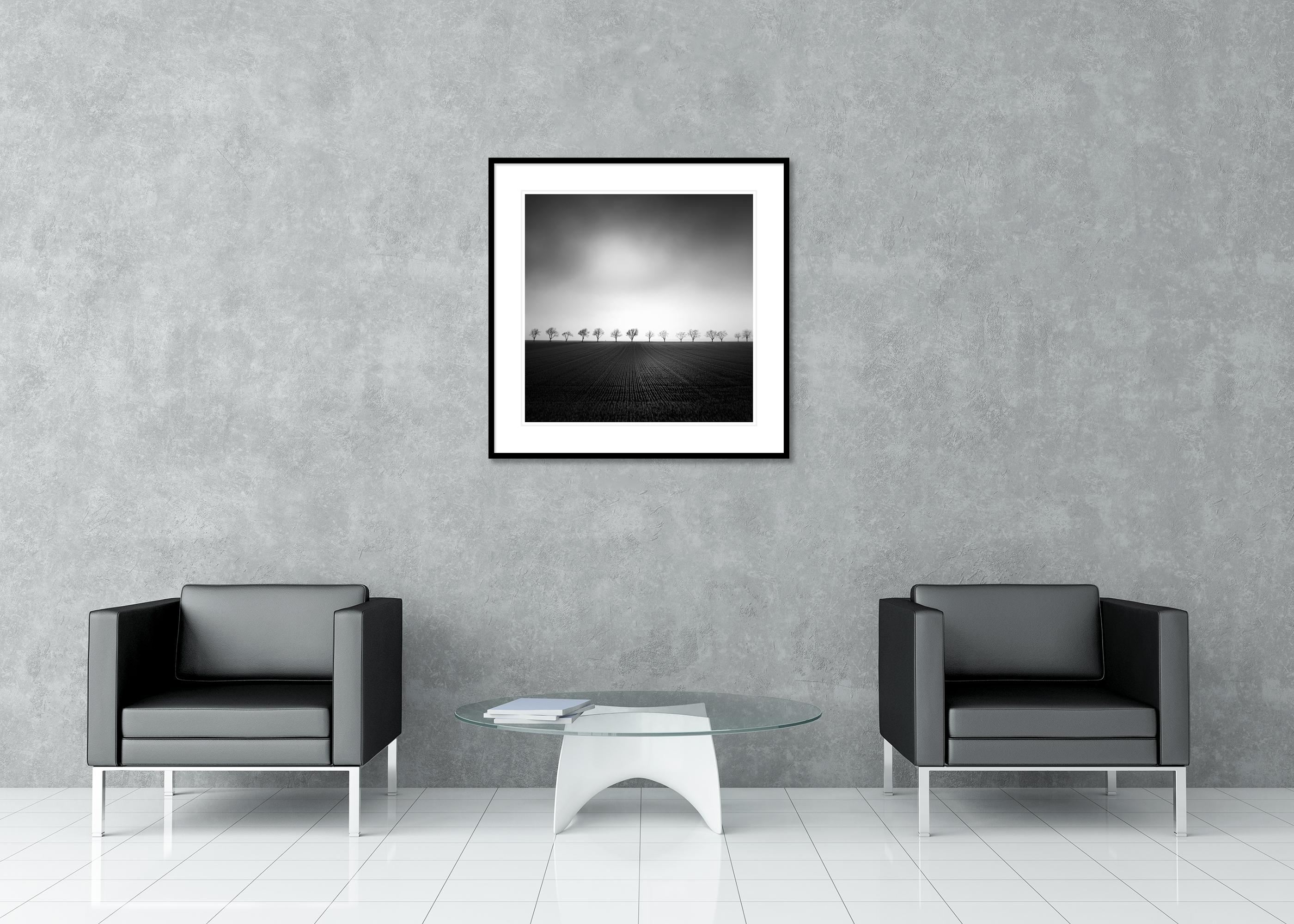 Cherry Tree Avenue, minimalist monochrome landscape photograph - Black Landscape Photograph by Gerald Berghammer