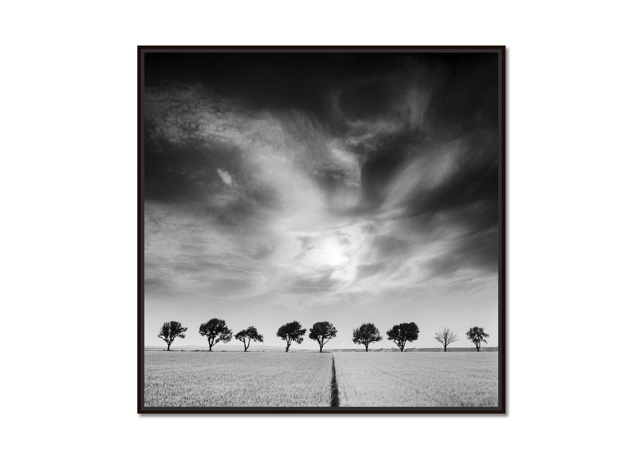 Cherry Trees and Dark Sky, Austria, black and white, art photography, landscape - Photograph by Gerald Berghammer