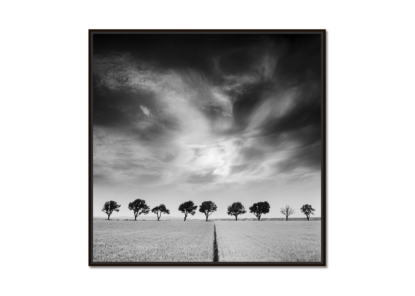 Kirschbaumbäume und dunkler Himmel, Österreich, Schwarz-Weiß, Kunstfotografie, Landschaft – Photograph von Gerald Berghammer