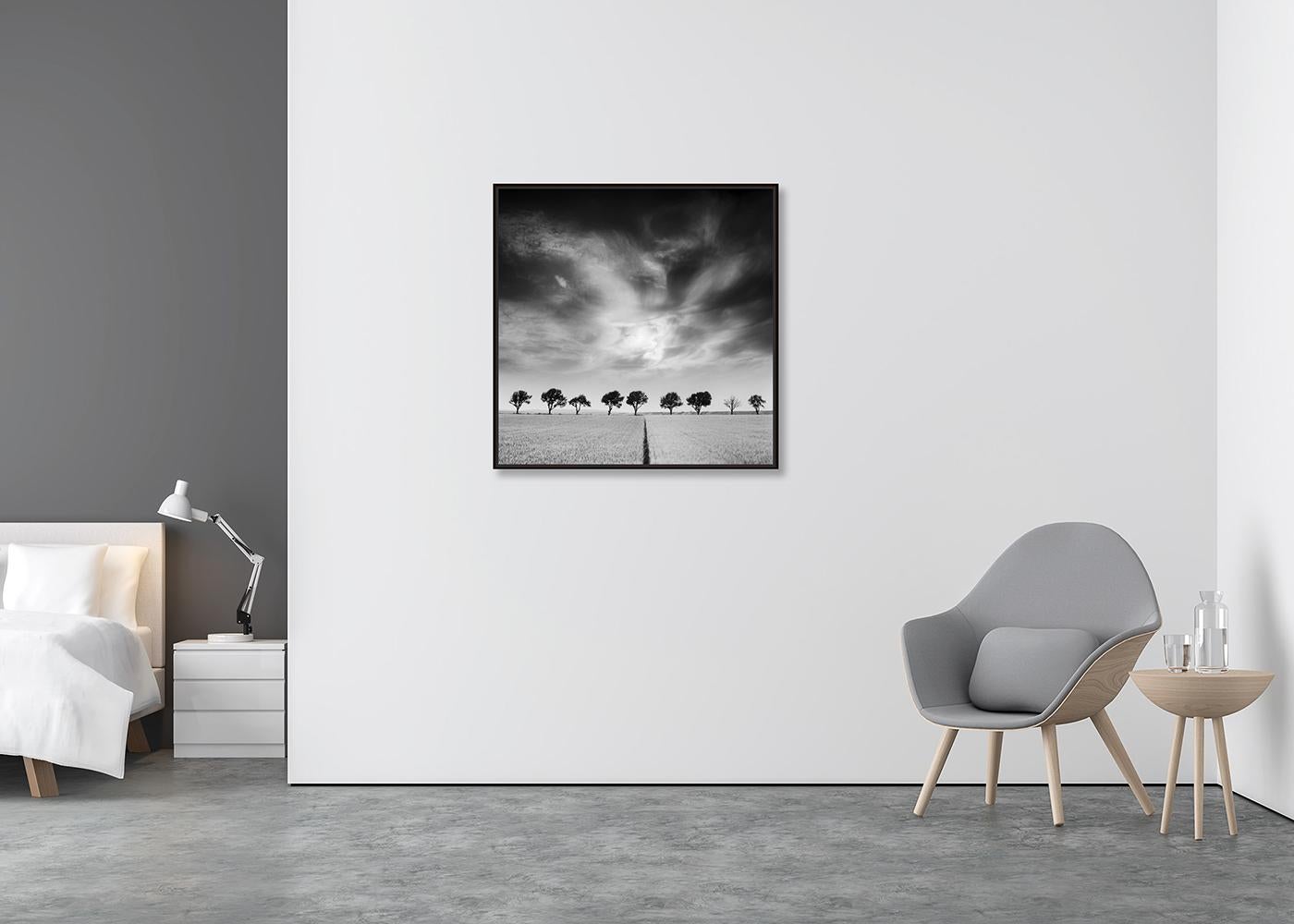 Kirschbaumbäume und dunkler Himmel, Österreich, Schwarz-Weiß, Kunstfotografie, Landschaft (Zeitgenössisch), Photograph, von Gerald Berghammer