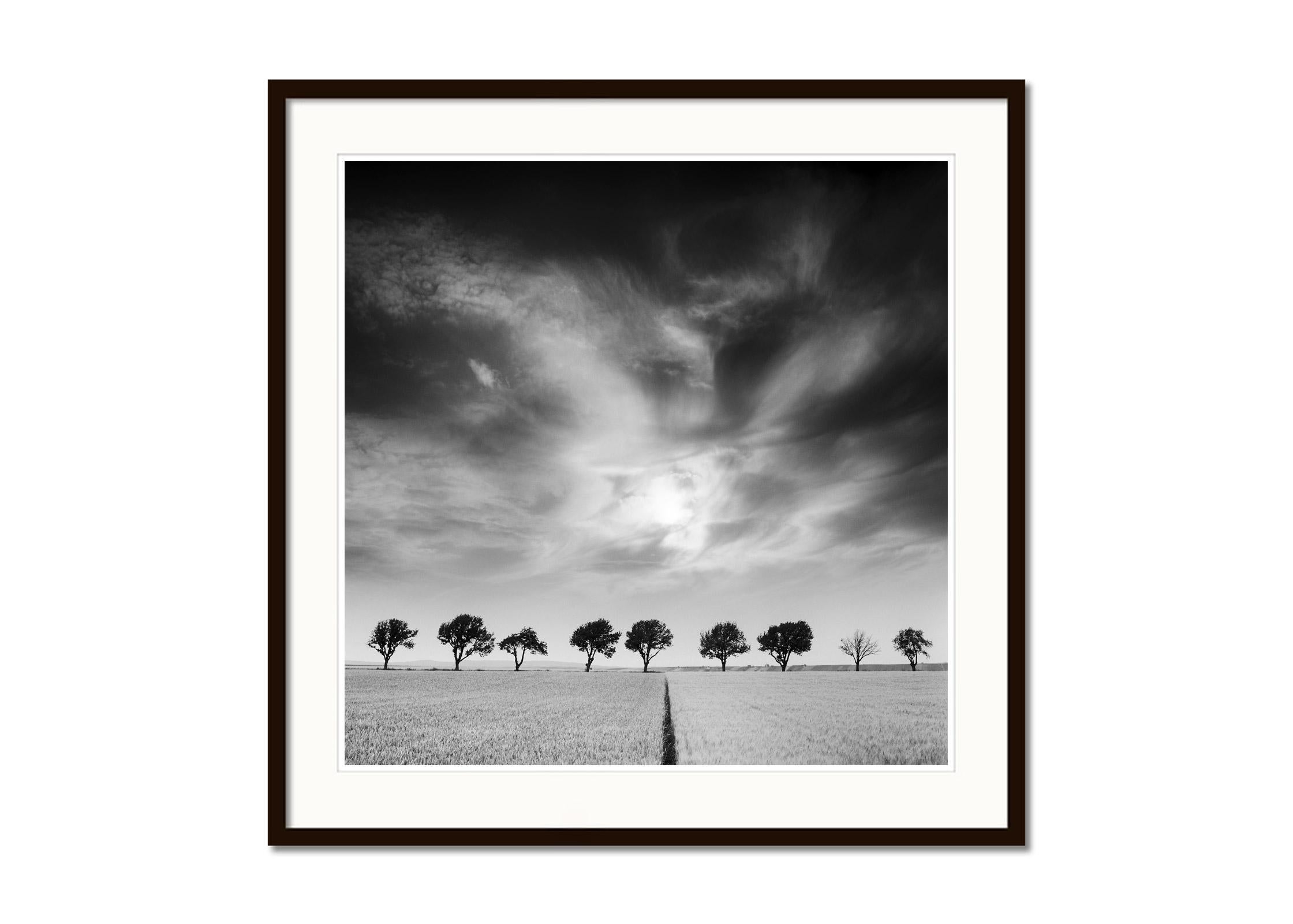 Cerisiers et ciel sombre, Autriche, noir et blanc, photographie d'art, paysage - Gris Landscape Photograph par Gerald Berghammer