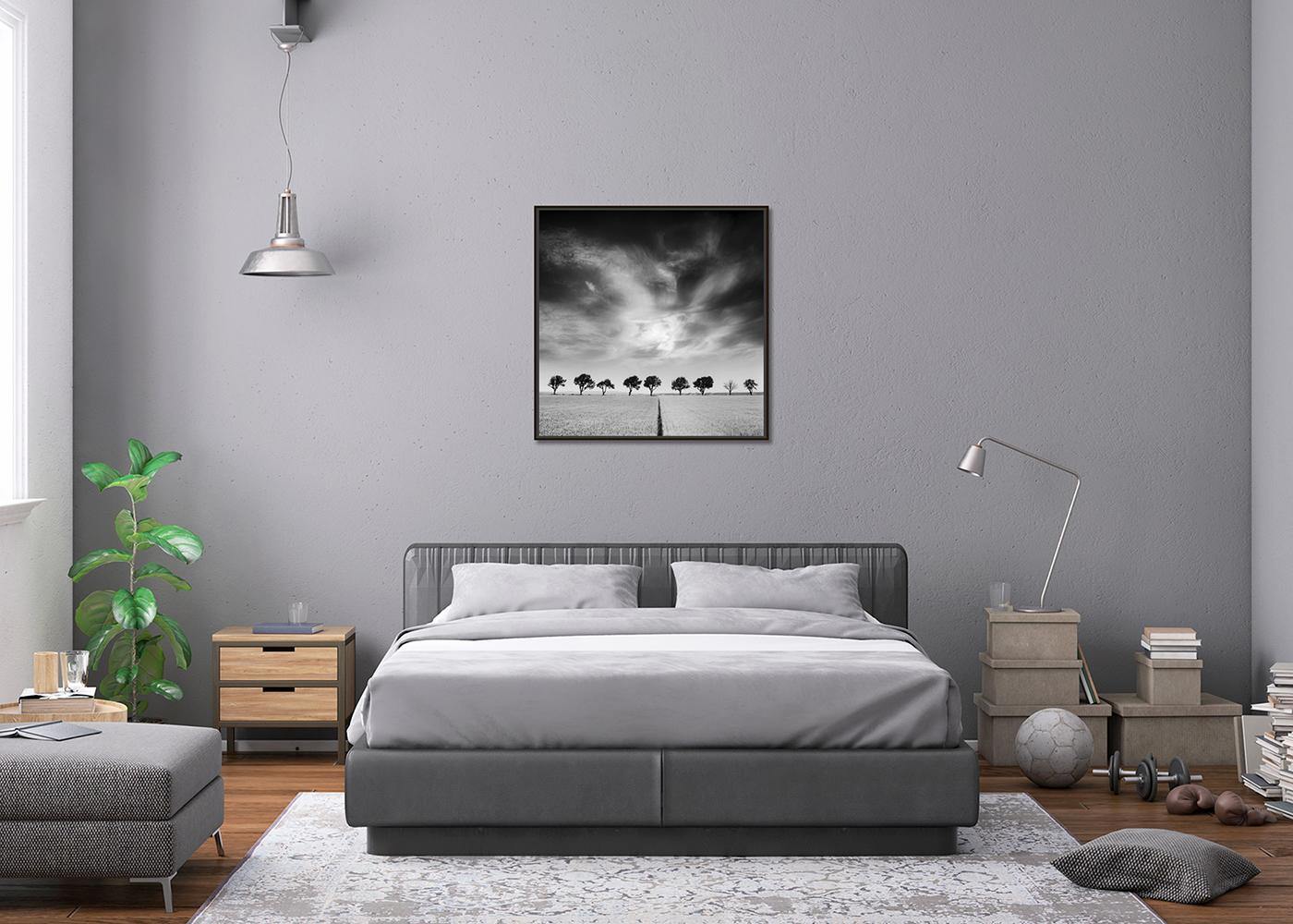 Kirschbaumbäume und dunkler Himmel, Österreich, Schwarz-Weiß, Kunstfotografie, Landschaft im Angebot 1