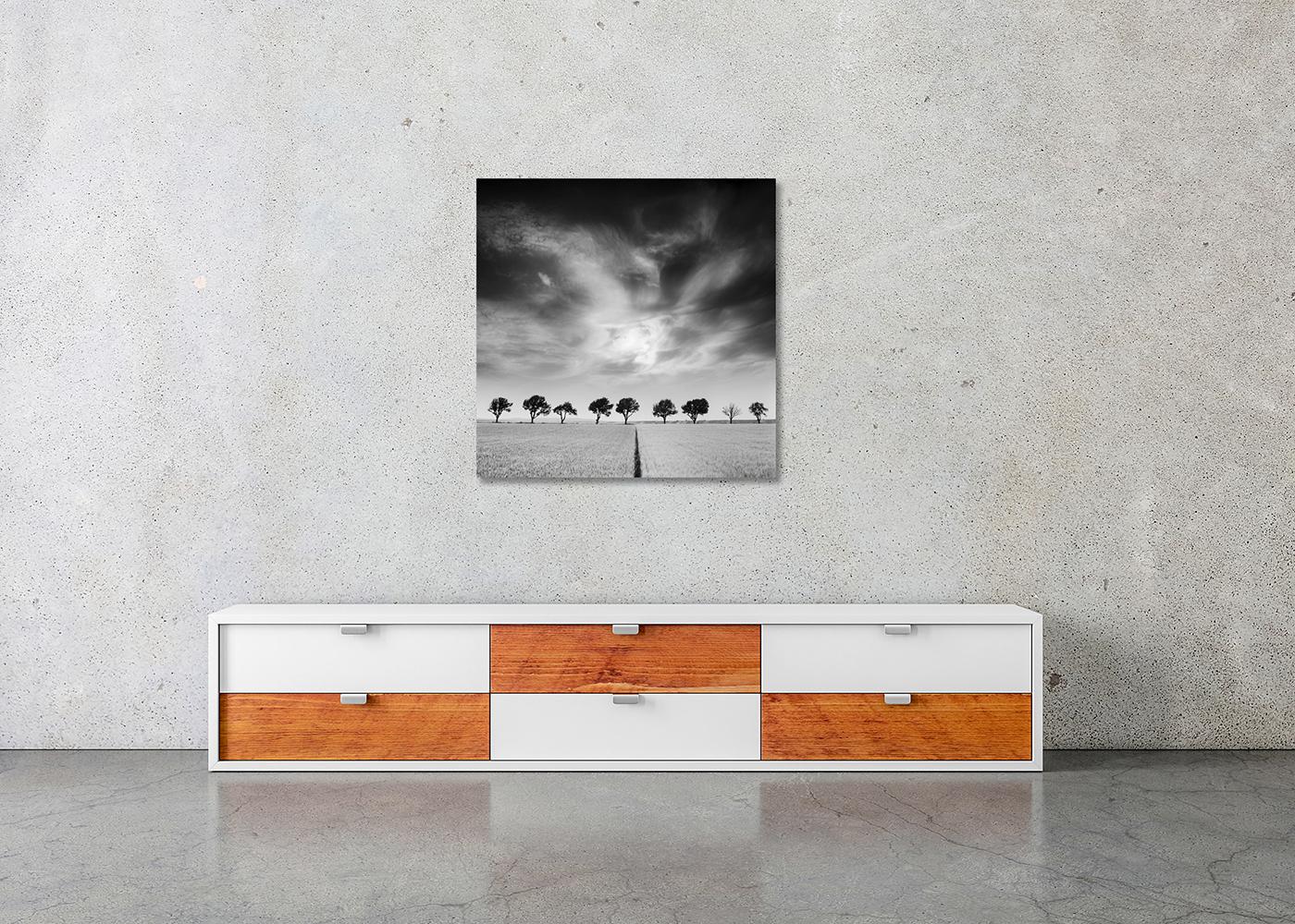 Kirschbaumbäume und dunkler Himmel, Österreich, Schwarz-Weiß, Kunstfotografie, Landschaft im Angebot 2