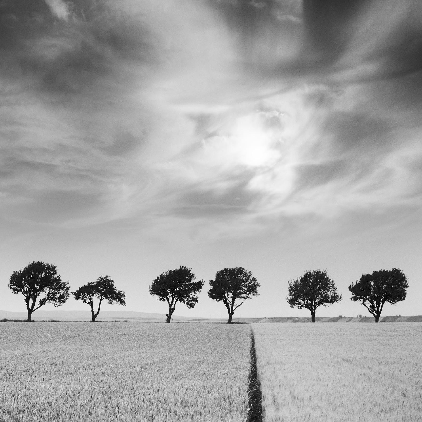 Black and White Fine Art Waterscape Photography. Row of trees at the field with big clouds, Weinviertel, Austria. Archival pigment ink print, edition of 9. Signed, titled, dated and numbered by artist. Certificate of authenticity included. Printed