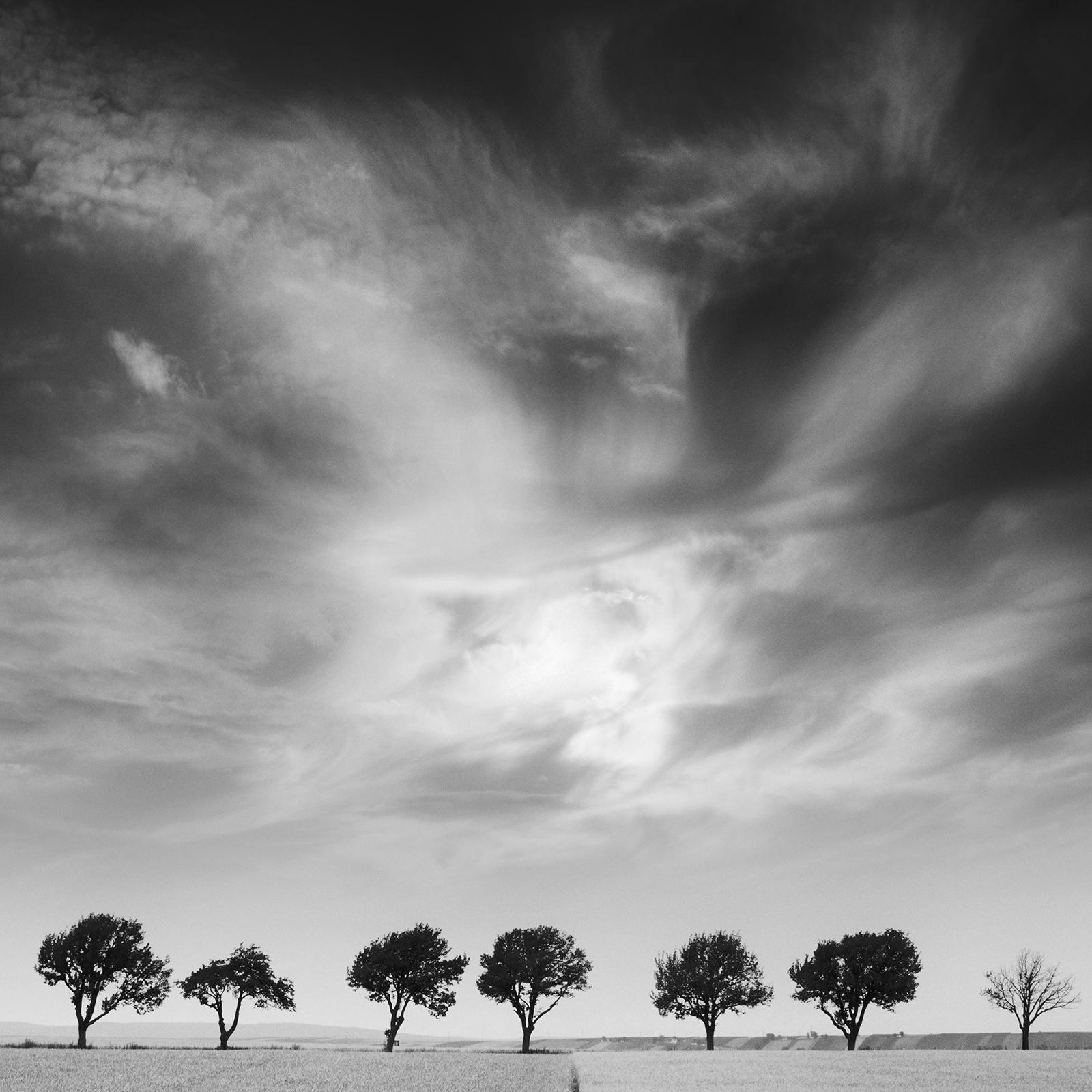 Kirschbaumbäume und dunkler Himmel, Österreich, Schwarz-Weiß, Kunstfotografie, Landschaft im Angebot 4