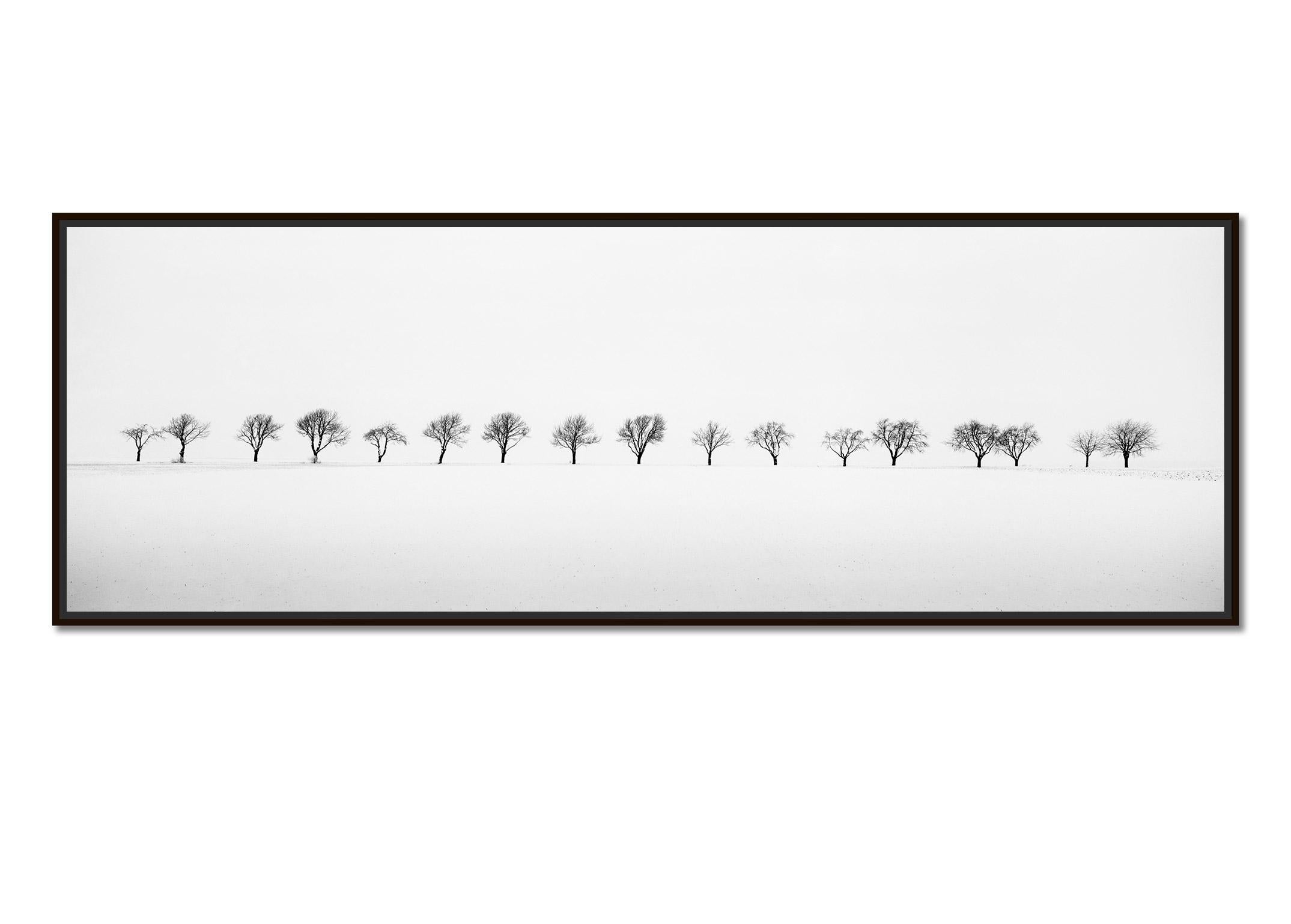 Cherry Trees in Snow Field, minimalist black and white photography, landscape - Photograph by Gerald Berghammer