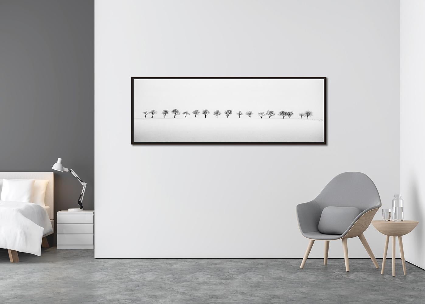Cherry Trees in Snow Field, minimalistische Schwarz-Weiß-Fotografie, Landschaft (Zeitgenössisch), Photograph, von Gerald Berghammer