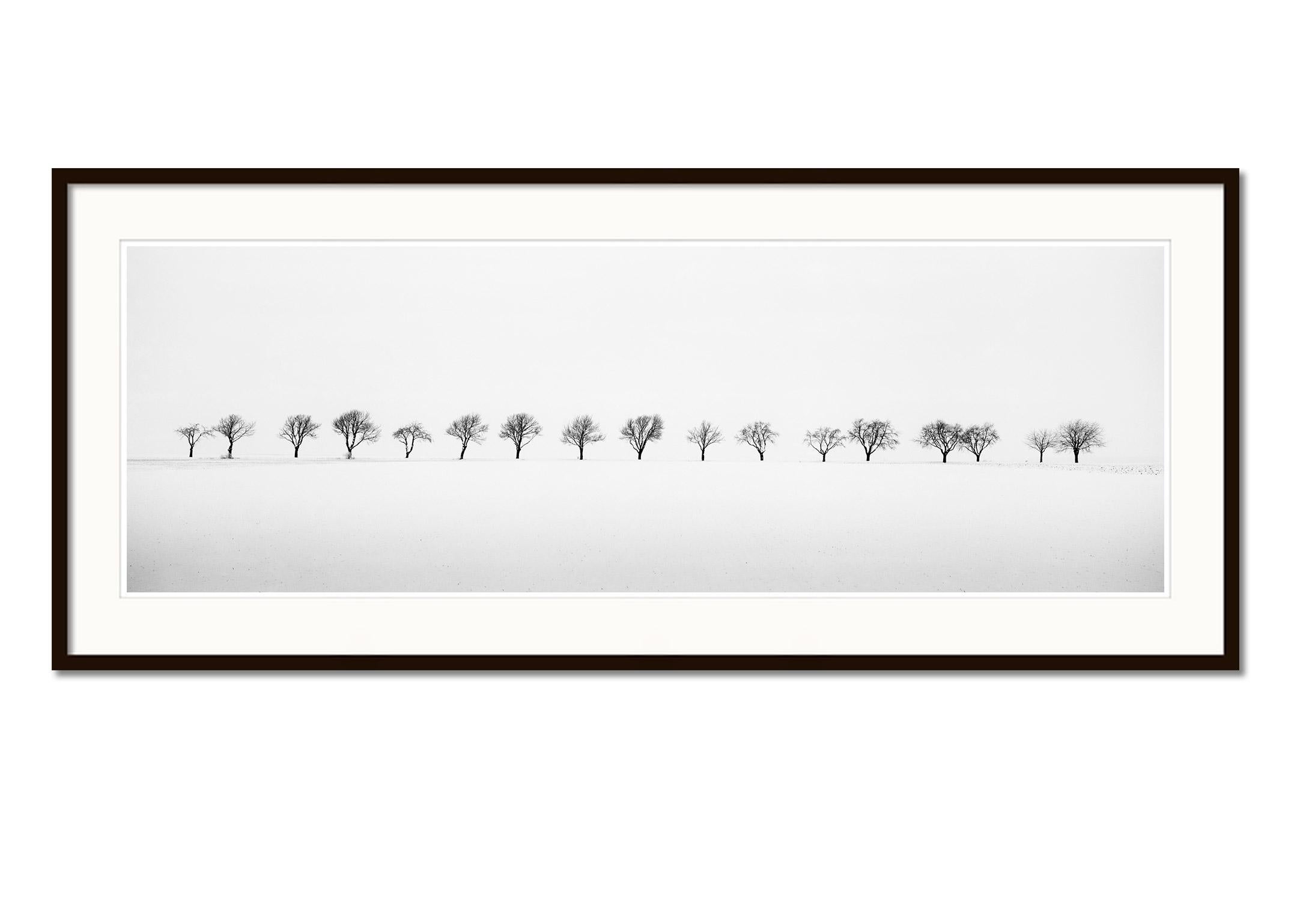 Cherry Trees in Snow Field, minimalist black and white photography, landscape - Contemporary Photograph by Gerald Berghammer