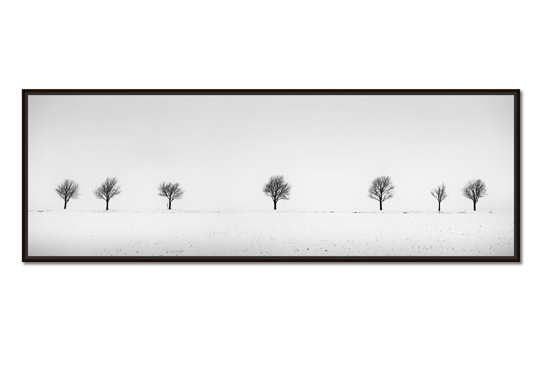 Cherry Trees in Snow Field, Panorama, black and white photography, landscape - Photograph by Gerald Berghammer