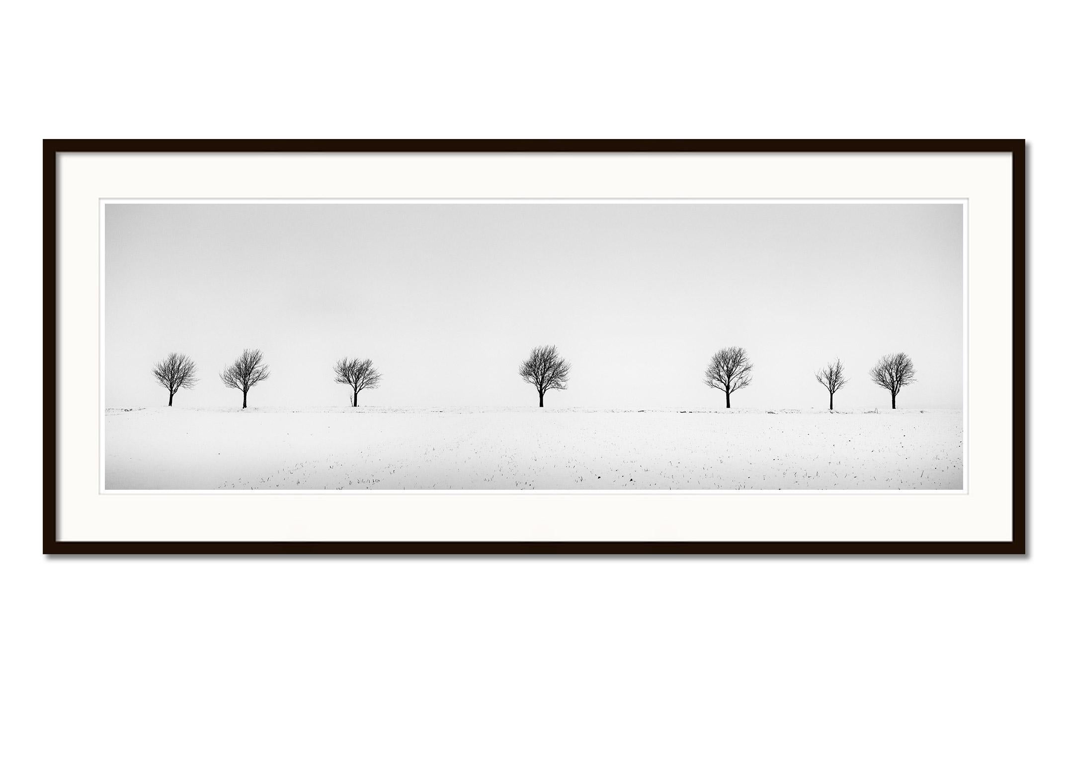 Cherry Trees in Snow Field, Panorama, Schwarz-Weiß-Fotografie, Landschaft (Grau), Landscape Photograph, von Gerald Berghammer