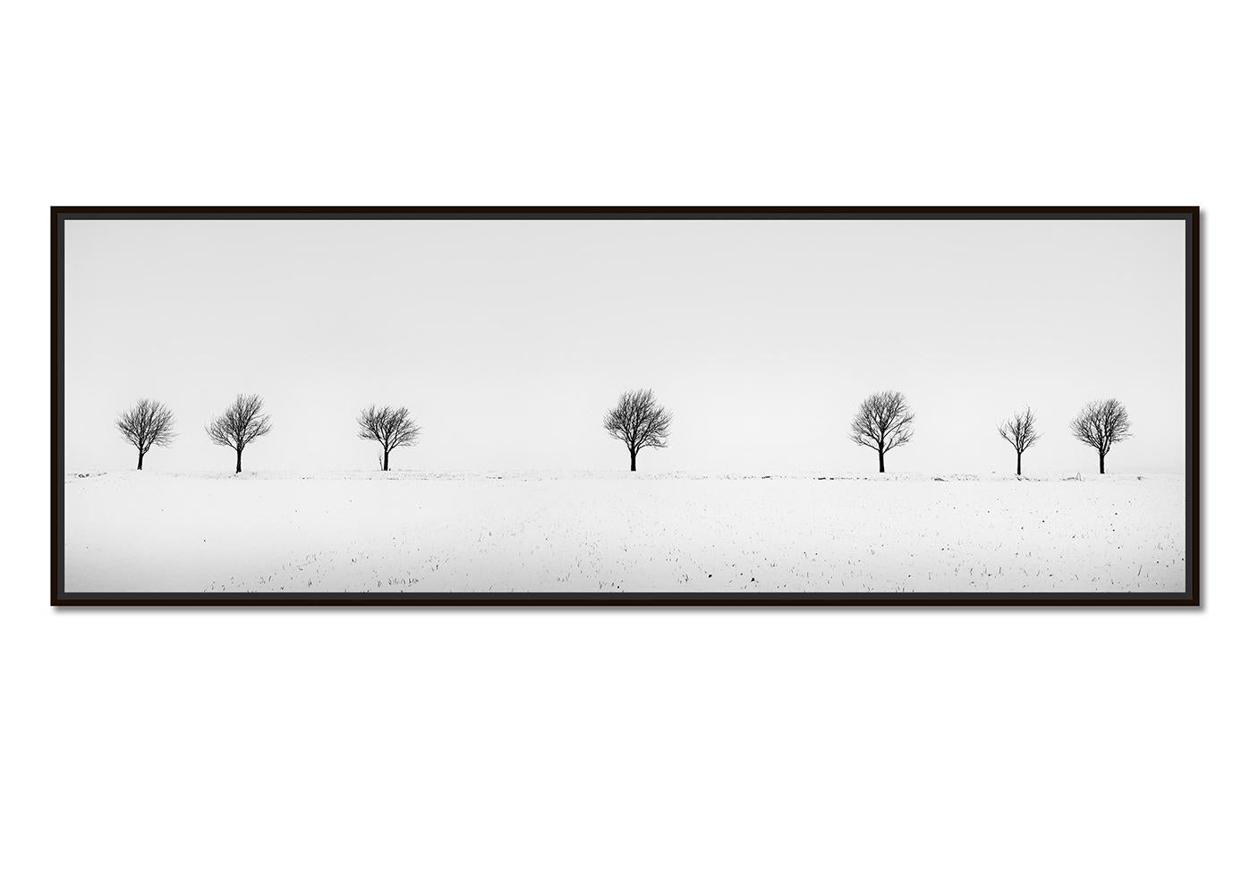 Cherry Trees in Snow Field, Panorama, Limited landscape photography print - Photograph by Gerald Berghammer
