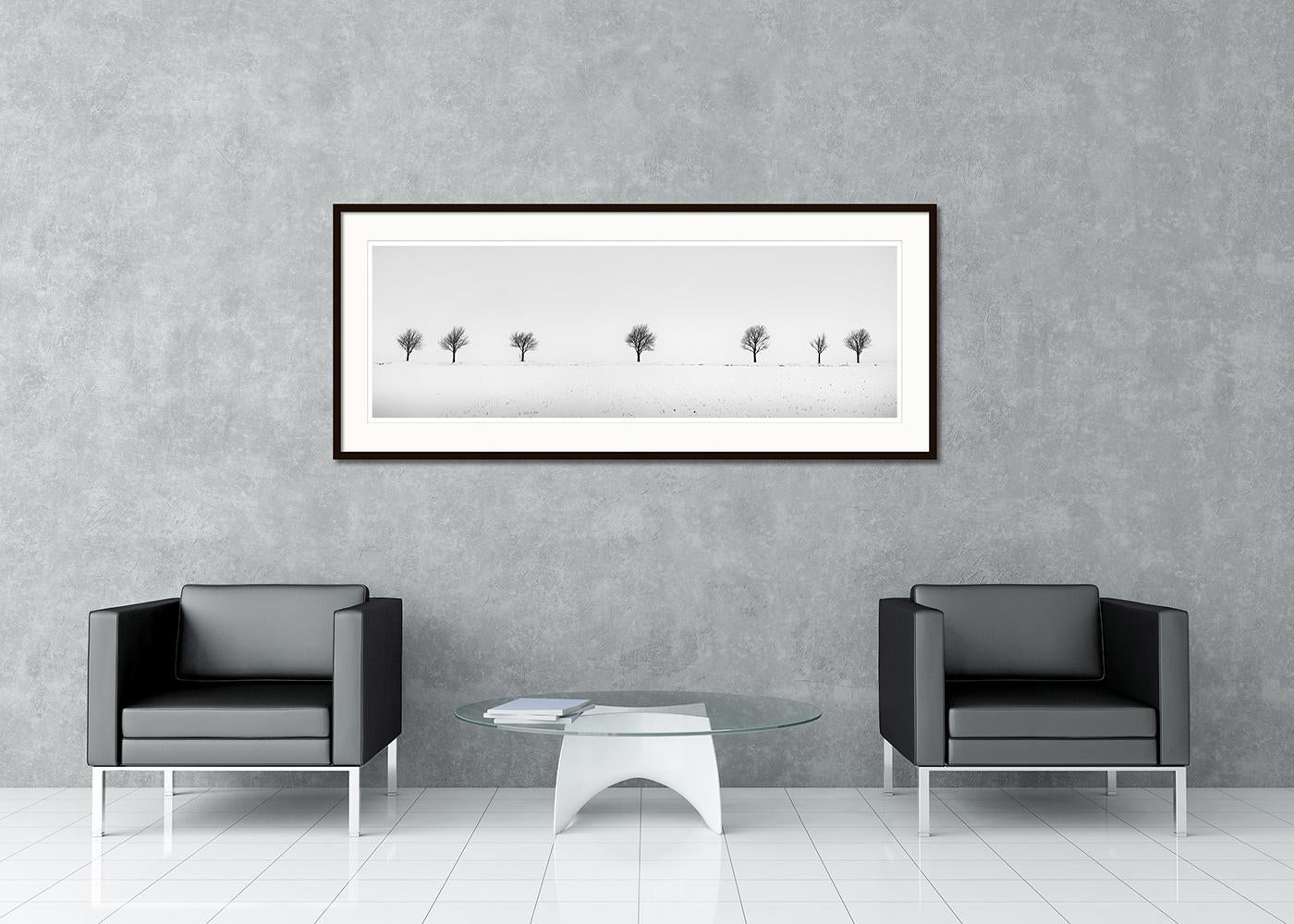 Cherry Trees in Snow Field, Panorama, Limited landscape photography print - Gray Landscape Photograph by Gerald Berghammer