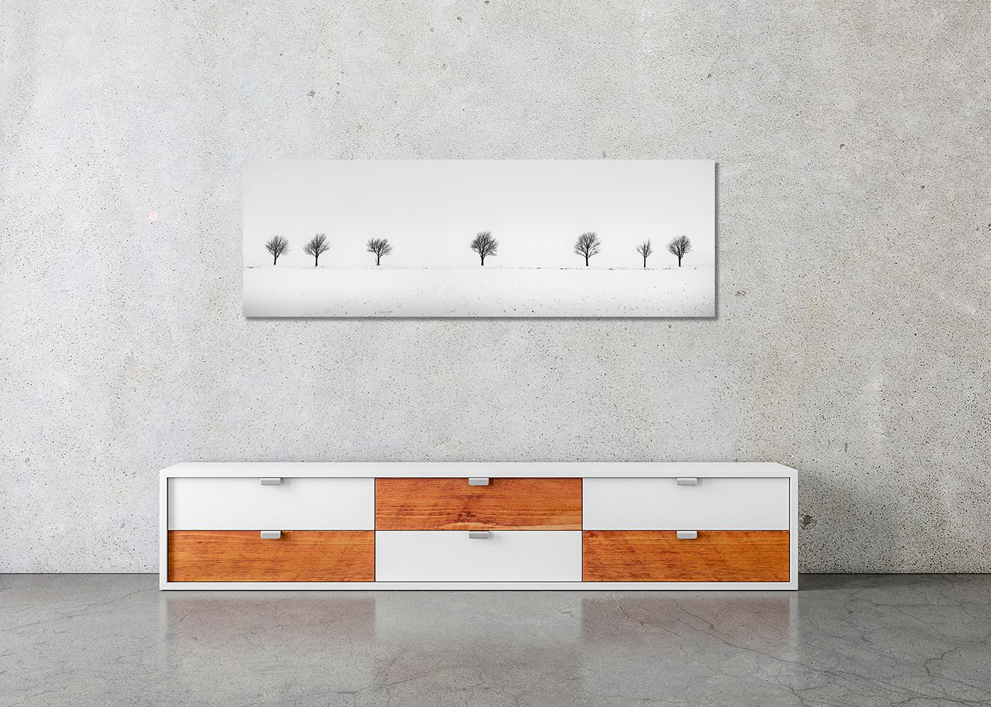 Cherry Trees in Snow Field, Panorama, Limited landscape photography print For Sale 1