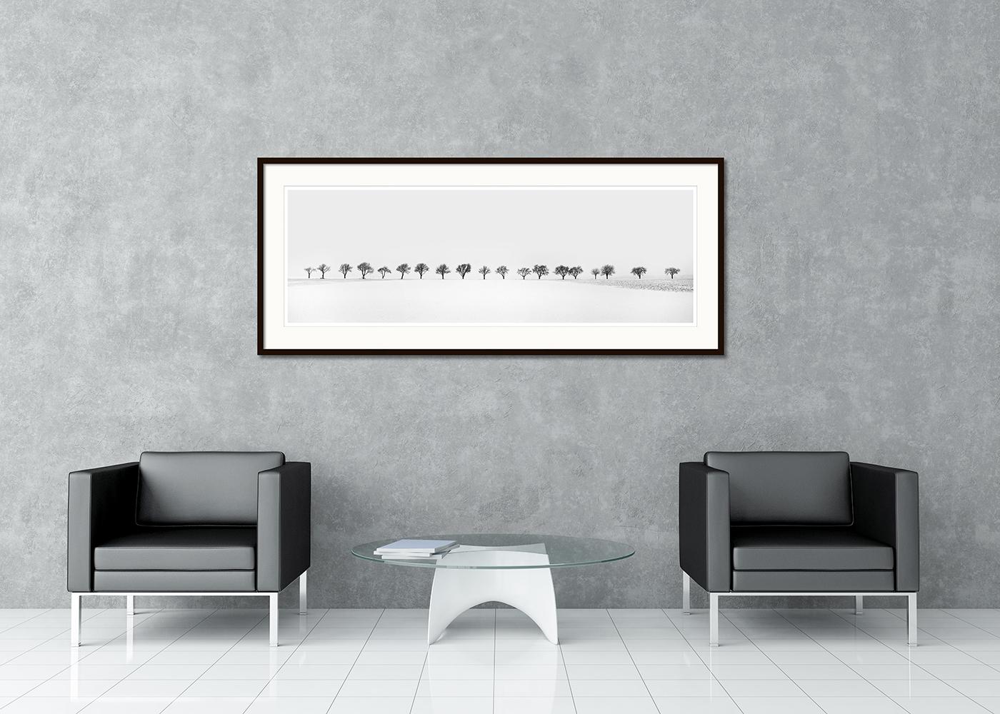 Cherry Trees in snow Field, Tree Avenue, black and white photography, landscape - Contemporary Photograph by Gerald Berghammer