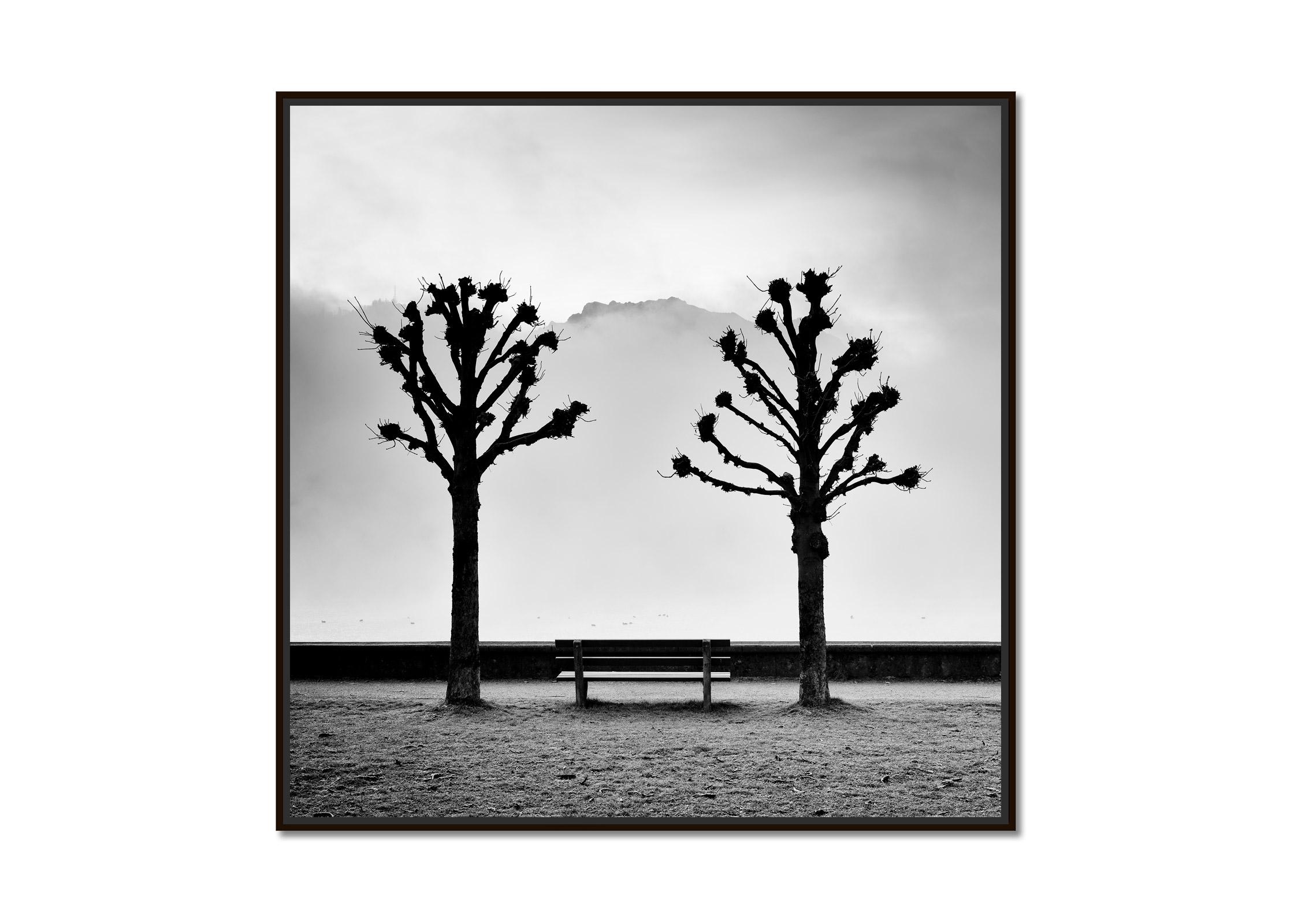 Kastanienbäume auf der Promenade, Traunsee, b&w Kunstfotografie, Landschaft – Print von Gerald Berghammer