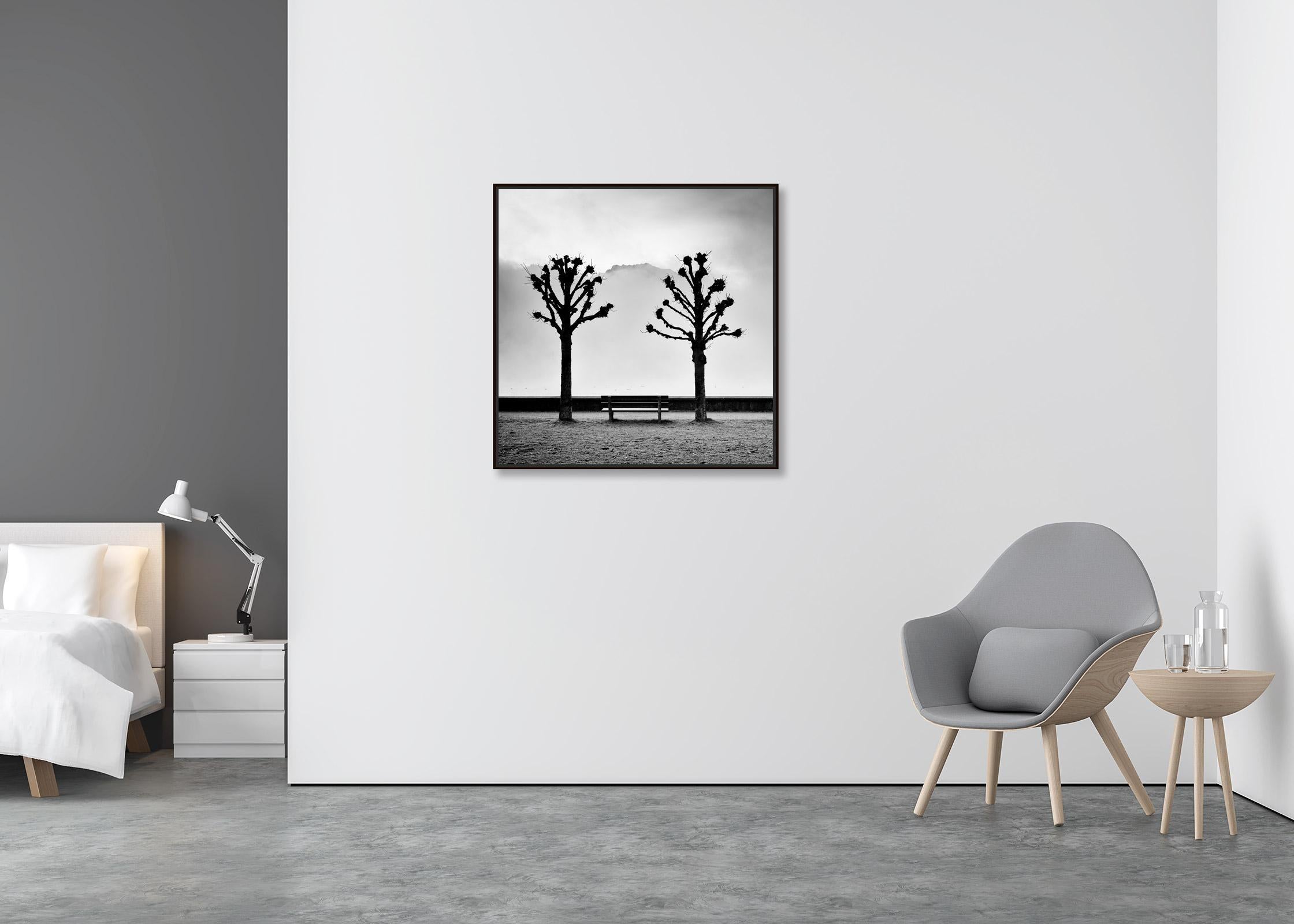 Chestnut Trees on the Promenade, Traunsee, b&w fine art photography, landscape - Minimalist Print by Gerald Berghammer