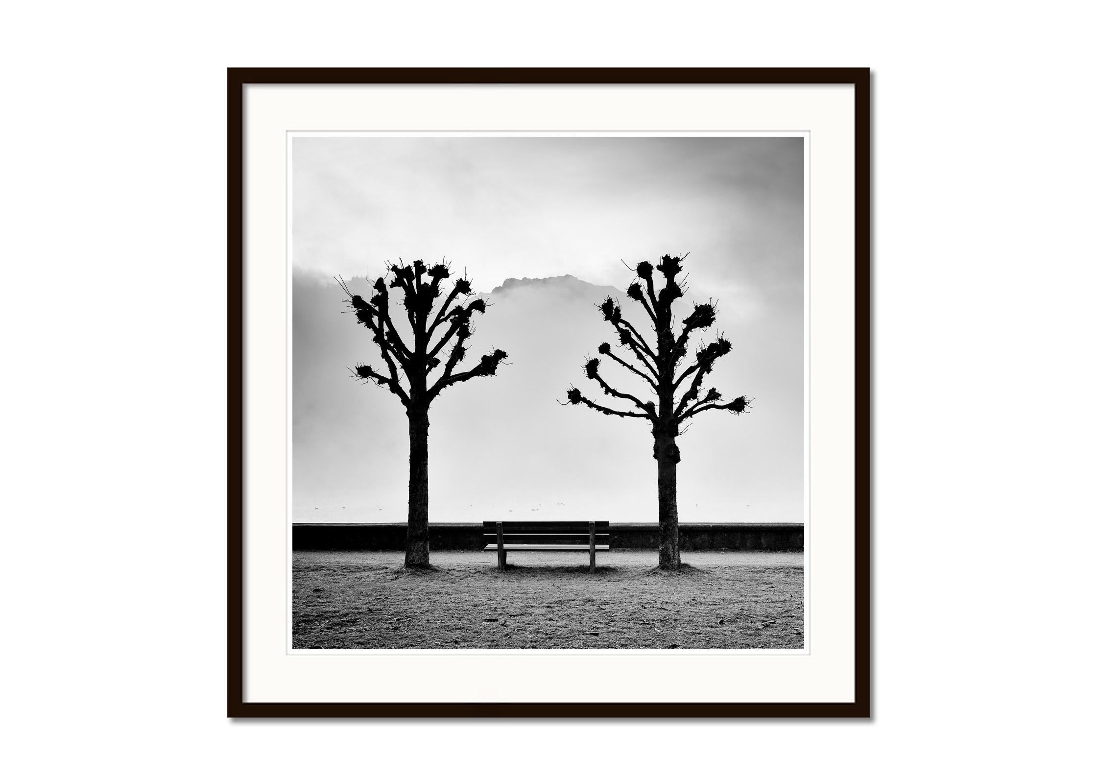 Chestnut Trees on the Promenade, Traunsee, b&w fine art photography, landscape - Gray Landscape Print by Gerald Berghammer