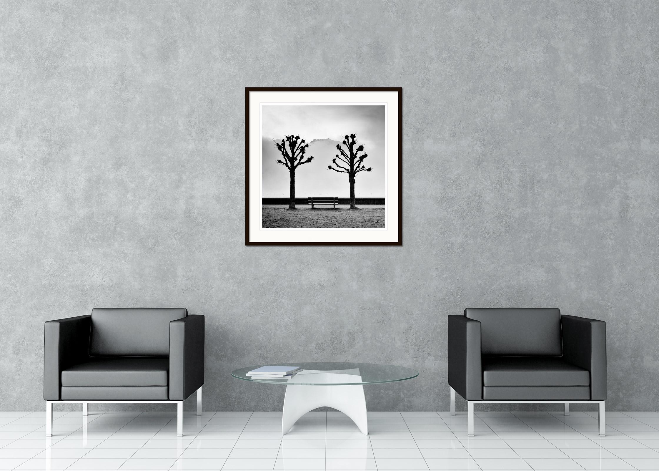 Black and white fine art long exposure waterscape - landscape photography. Chesternut trees and bench in fog over Lake Traunsee with the mountains in the background, Austria. Archival pigment ink print as part of a limited edition of 9. All Gerald