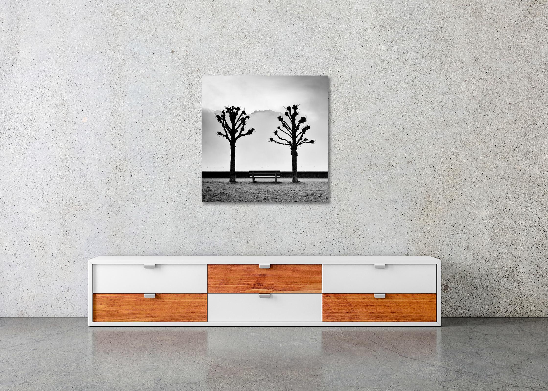 Chestnut Trees on the Promenade, Traunsee, b&w fine art photography, landscape For Sale 2