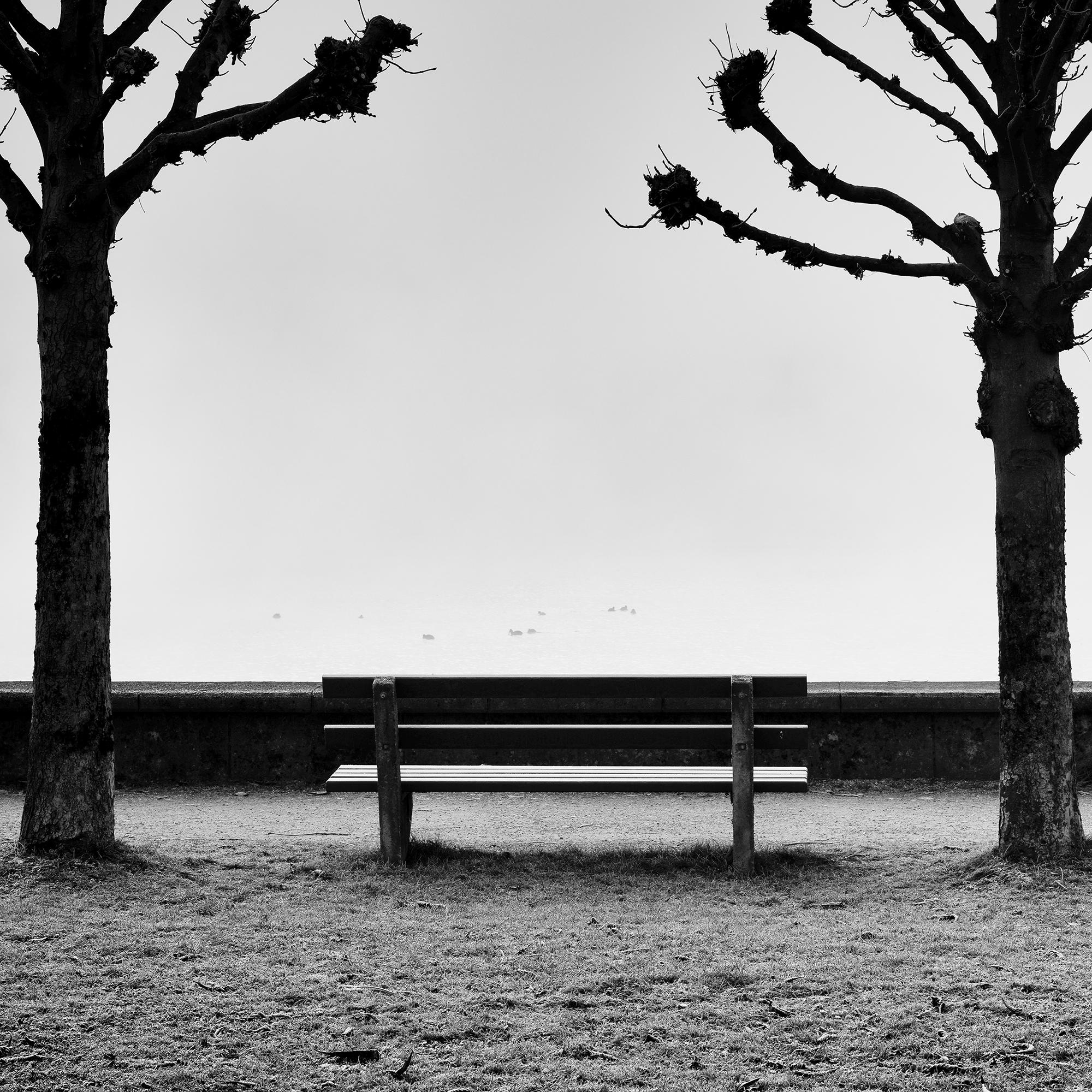 Kastanienbäume auf der Promenade, Traunsee, b&w Kunstfotografie, Landschaft im Angebot 4