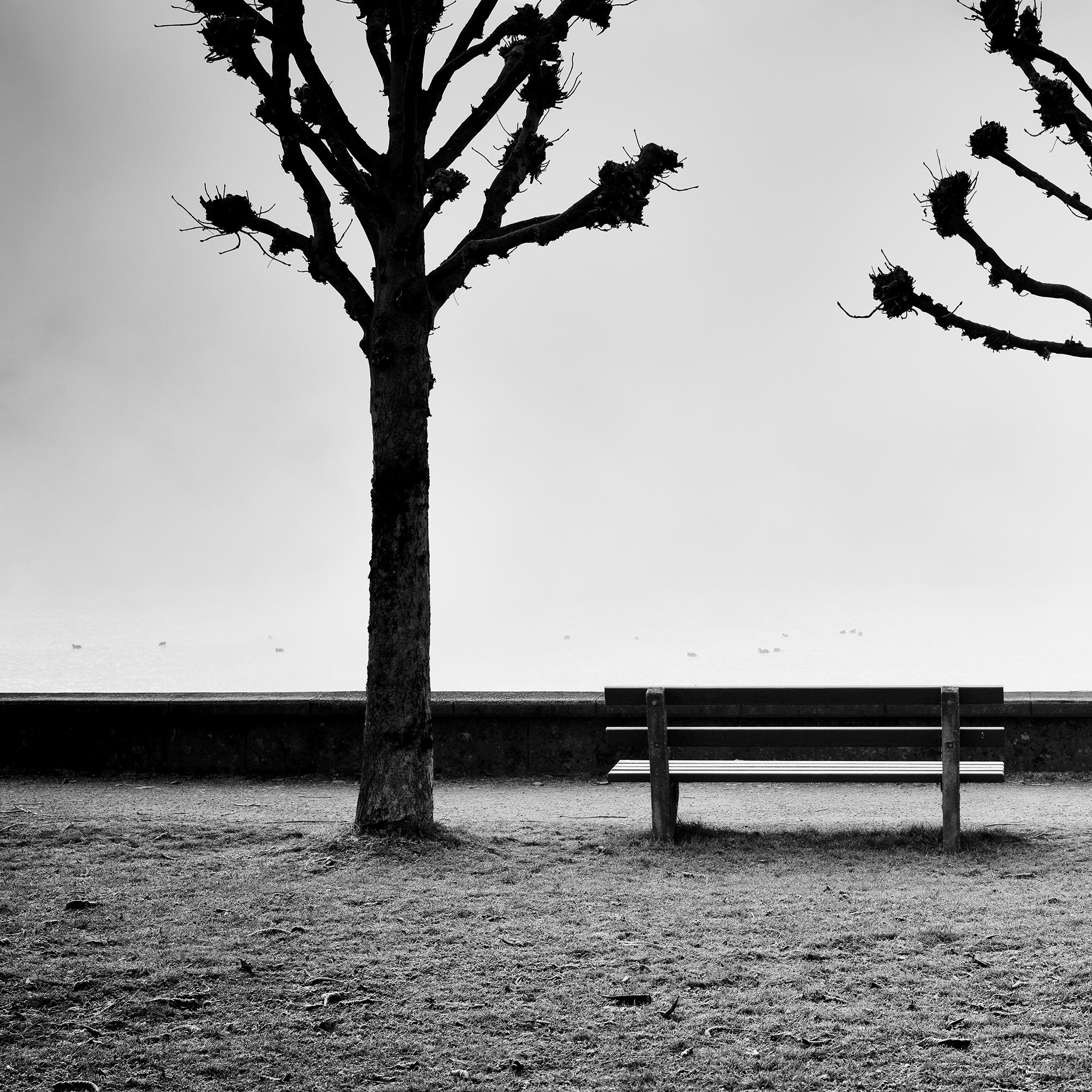 Chestnut Trees on the Promenade, Traunsee, b&w fine art photography, landscape For Sale 5