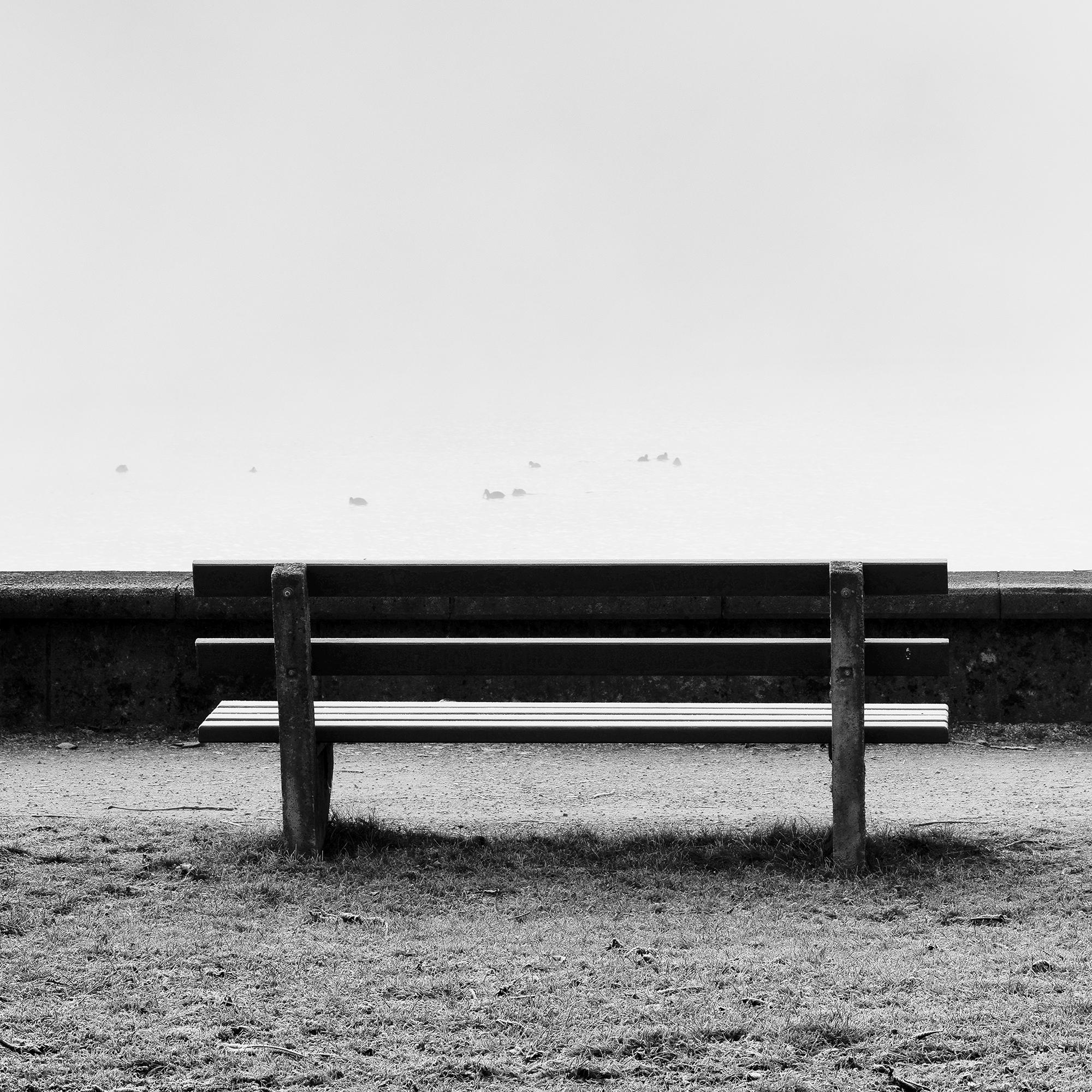 Chestnut Trees on the Promenade, Traunsee, b&w fine art photography, landscape For Sale 7