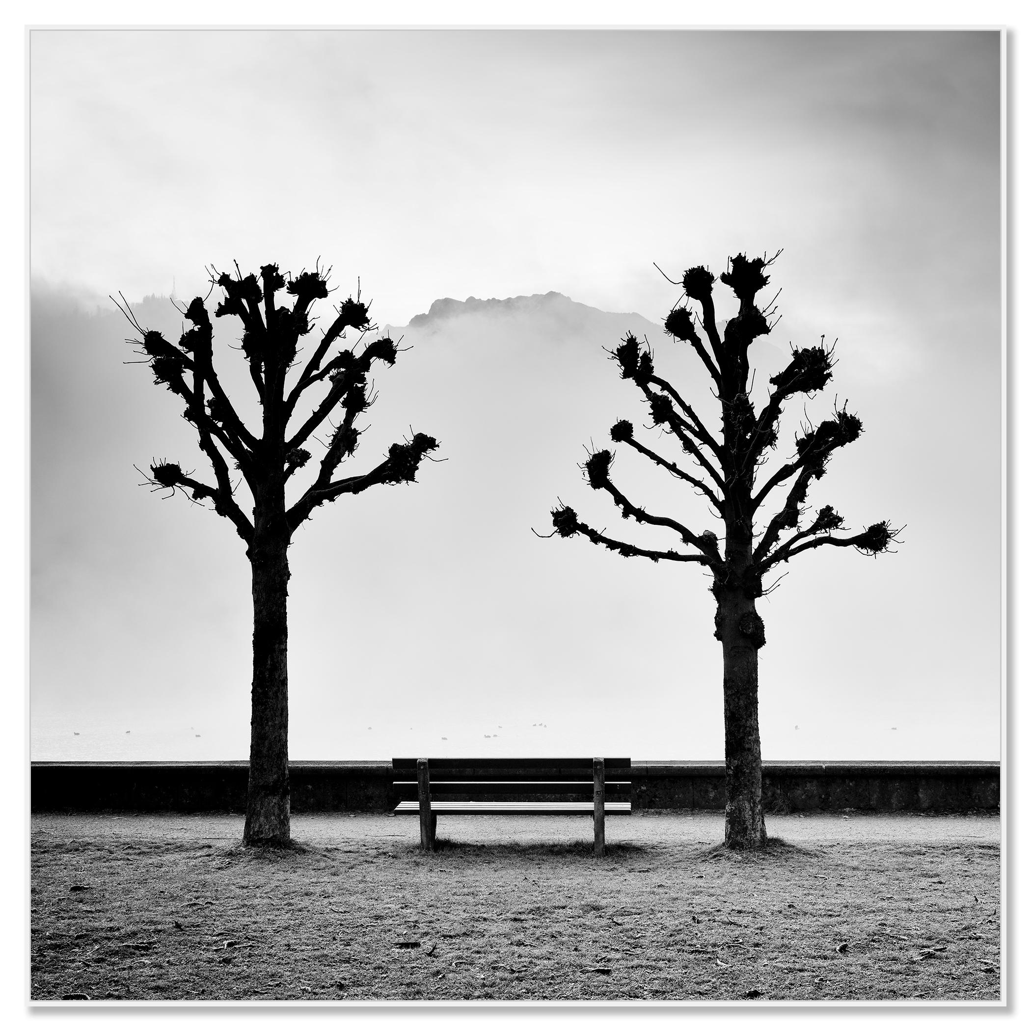 Chestnut Trees on the Promenade, Traunsee, b&w fine art photography, landscape - Contemporary Photograph by Gerald Berghammer