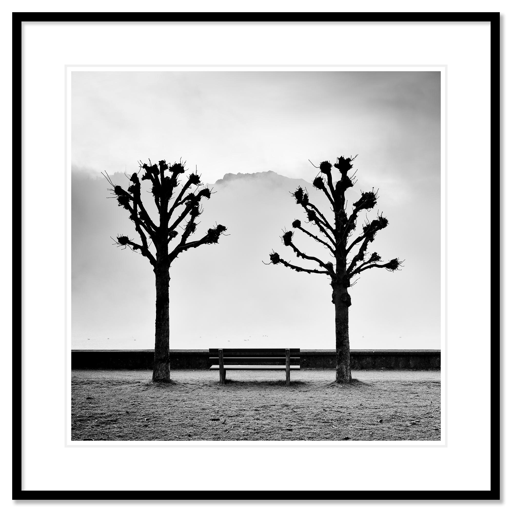 Chestnut Trees on the Promenade, Austria - no. 21144
Black and white fine art long exposure waterscape - landscape photography. Chesternut trees and bench in fog over Lake Traunsee with the mountains in the background, Austria. Archival pigment ink