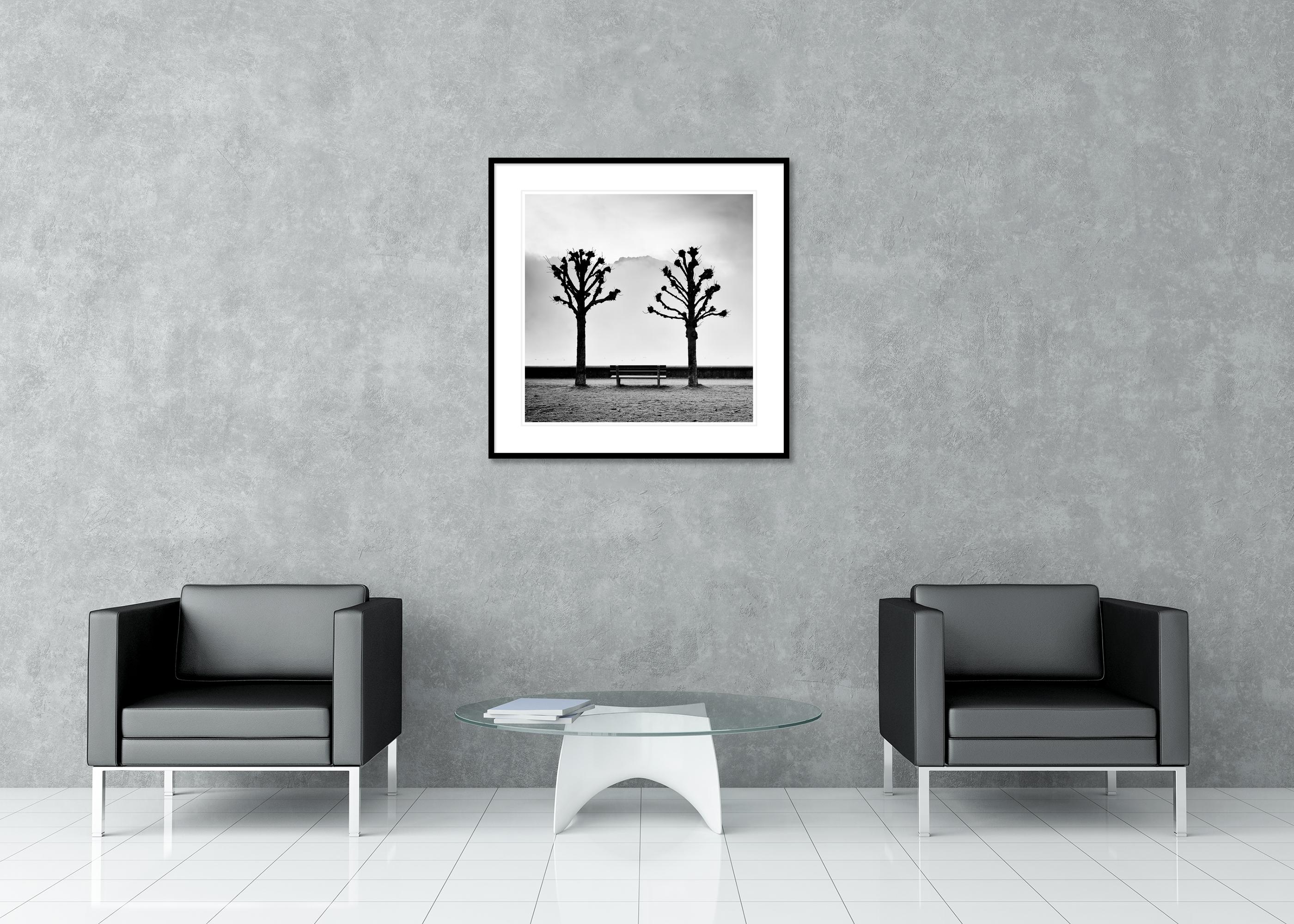 Chestnut Trees on the Promenade, Traunsee, b&w fine art photography, landscape For Sale 2